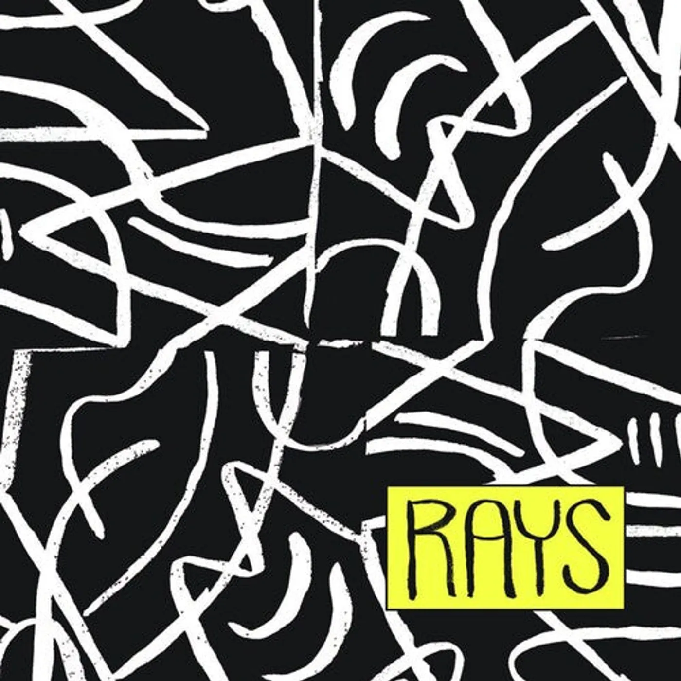 The Rays LP Vinyl - Rays