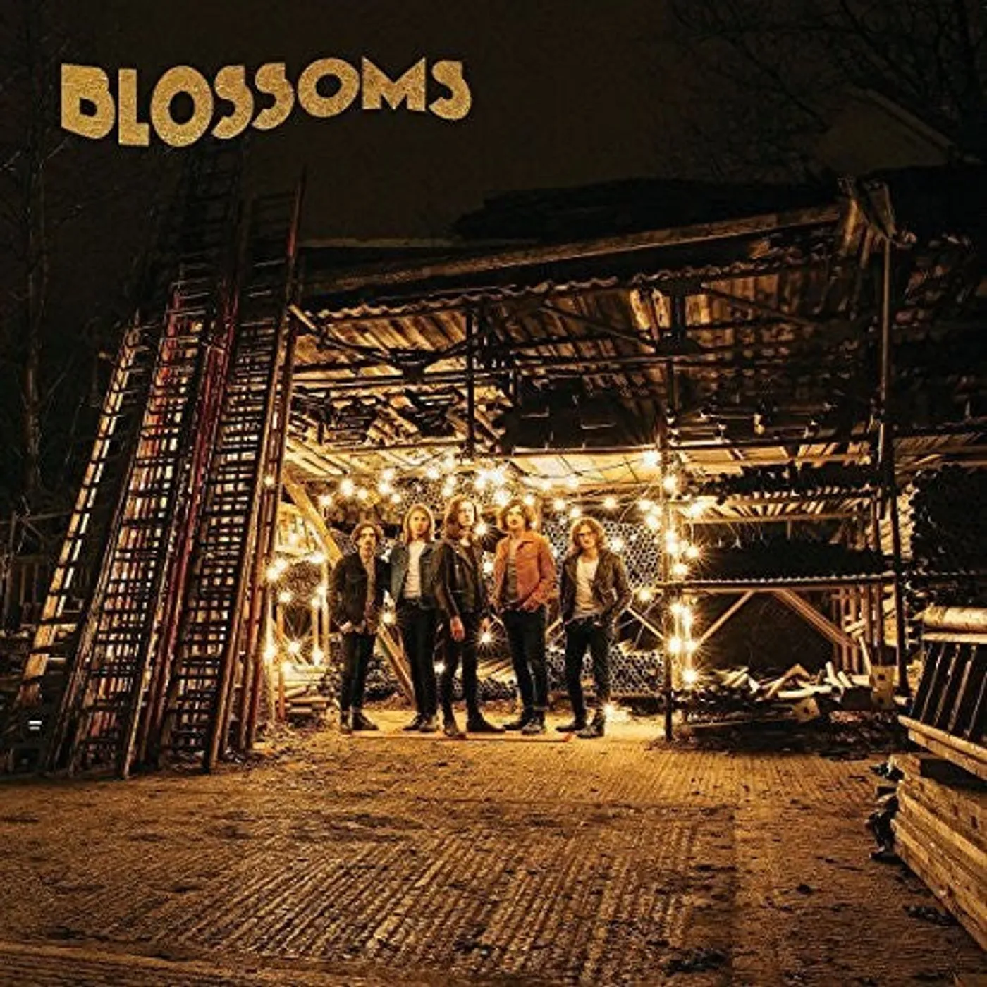 Blossoms LP Vinyl - Blossoms (Uk)