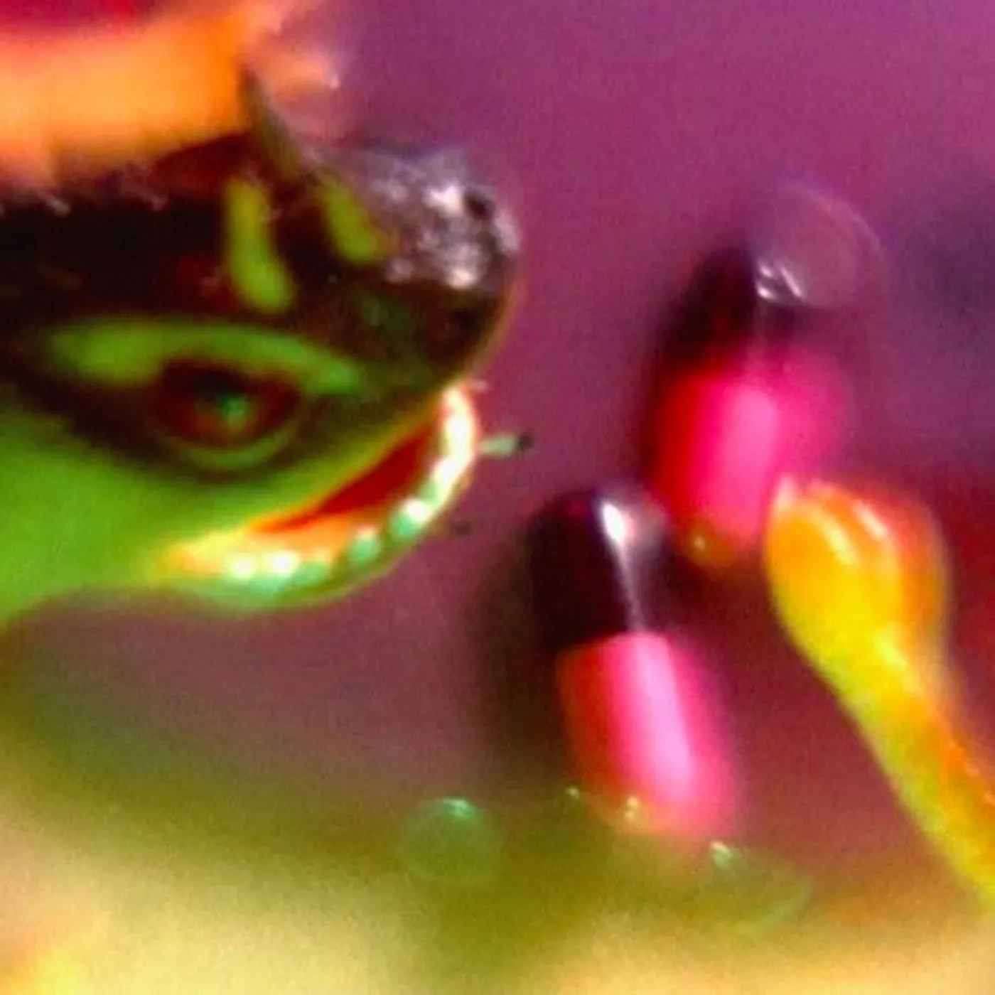 Bush Tetras LP Vinyl - Take The Fall