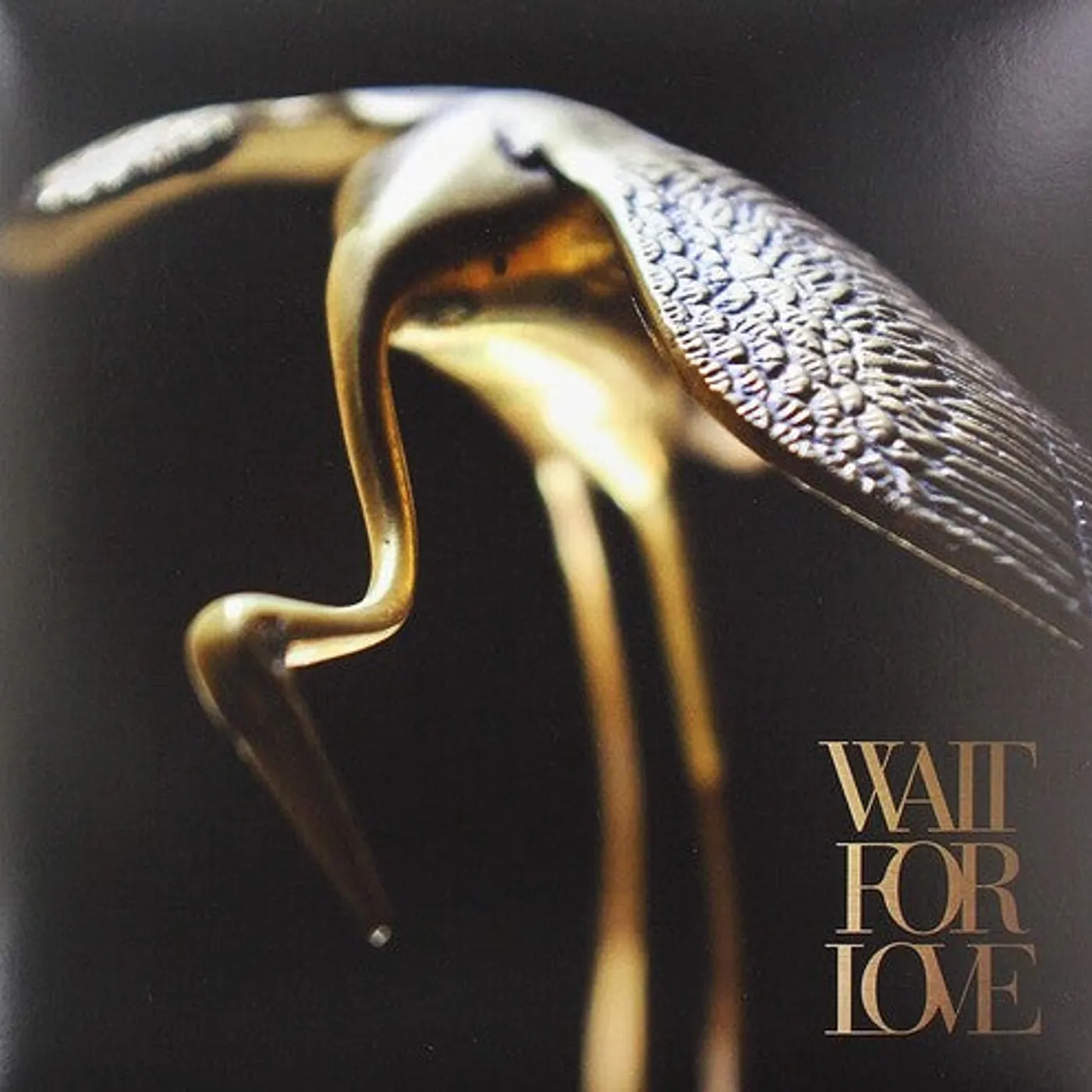 Pianos Become The Teeth LP Vinyl - Wait For Love (Ylw)