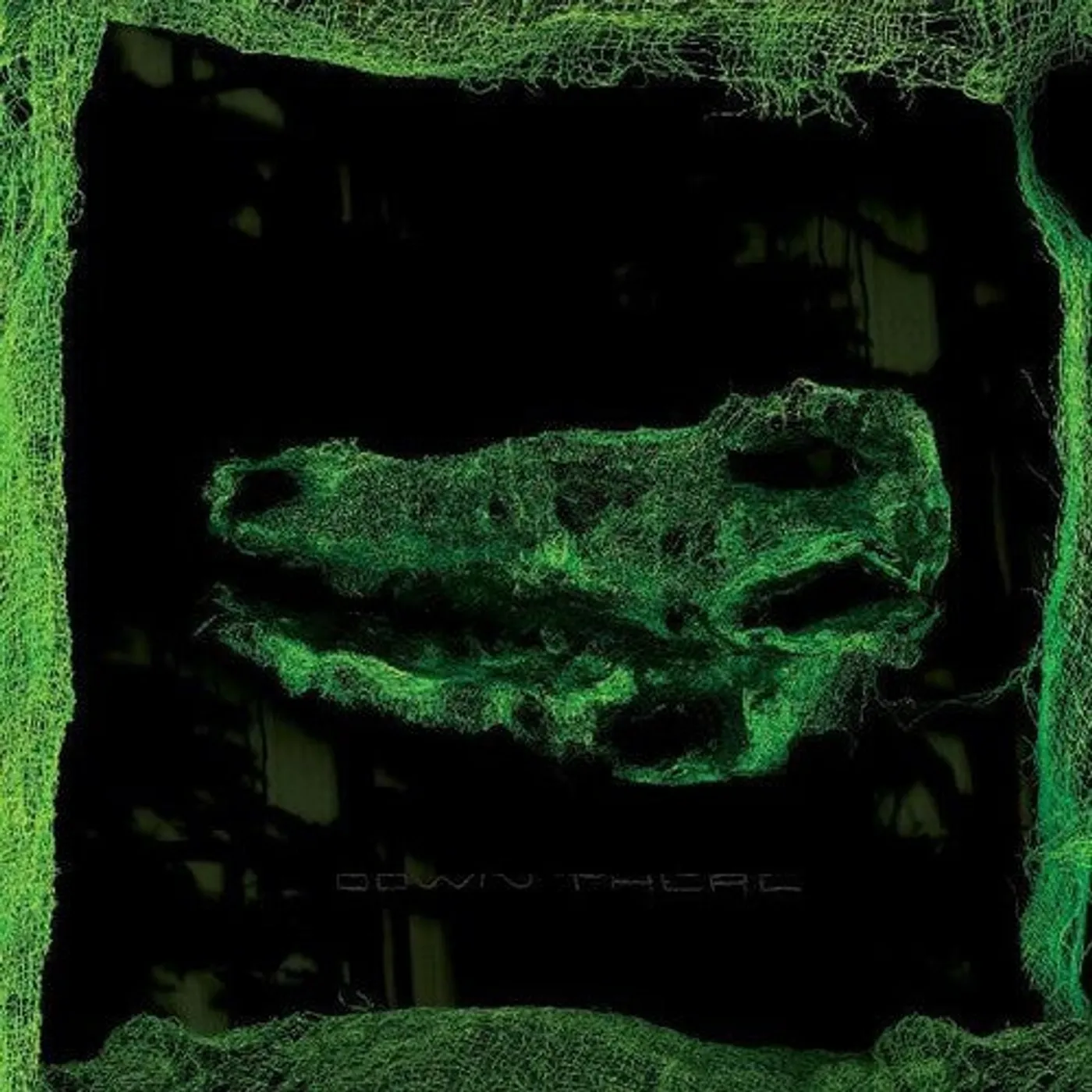 Avey Tare LP Vinyl - Down There (Dlcd)