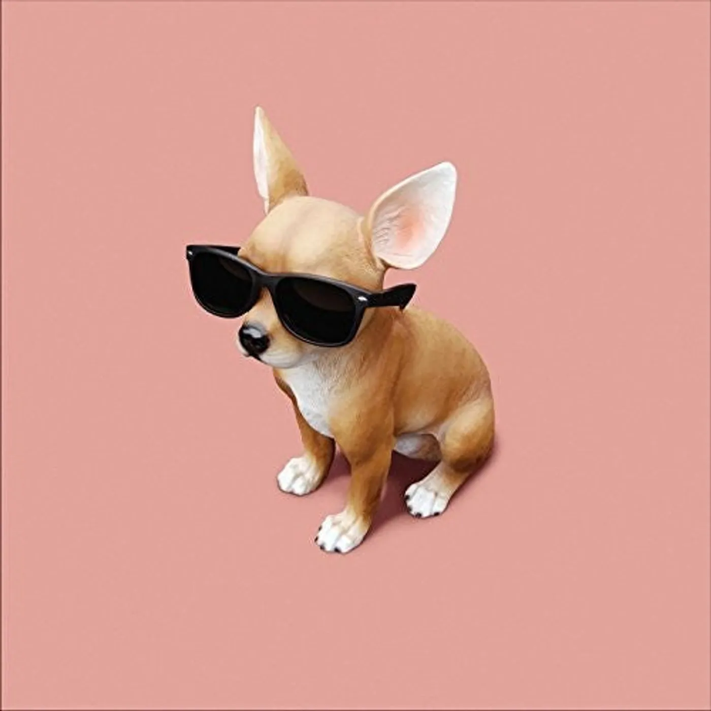 Lo Tom LP Vinyl - Lo Tom
