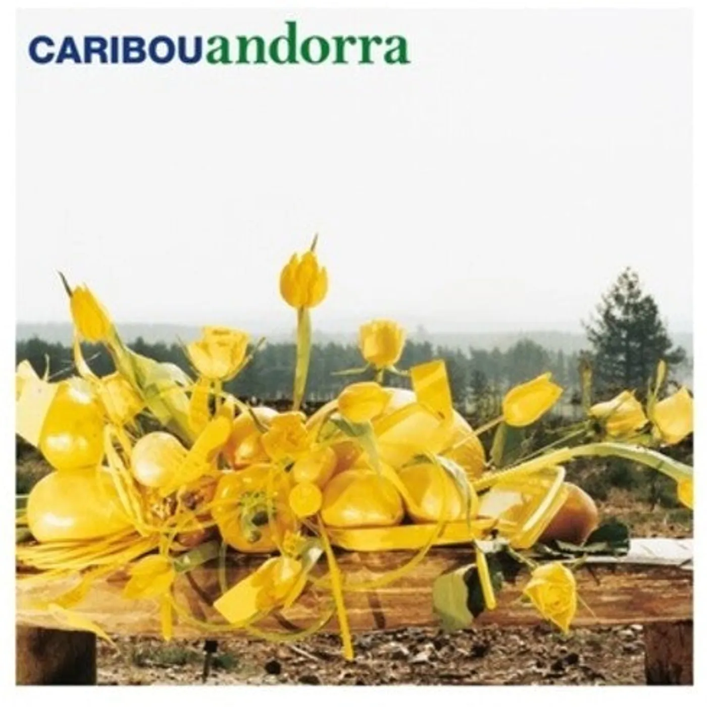 Caribou LP Vinyl - Andorra: 15Th Anniversary (Coloured Vinyl) (Wht) (Uk)