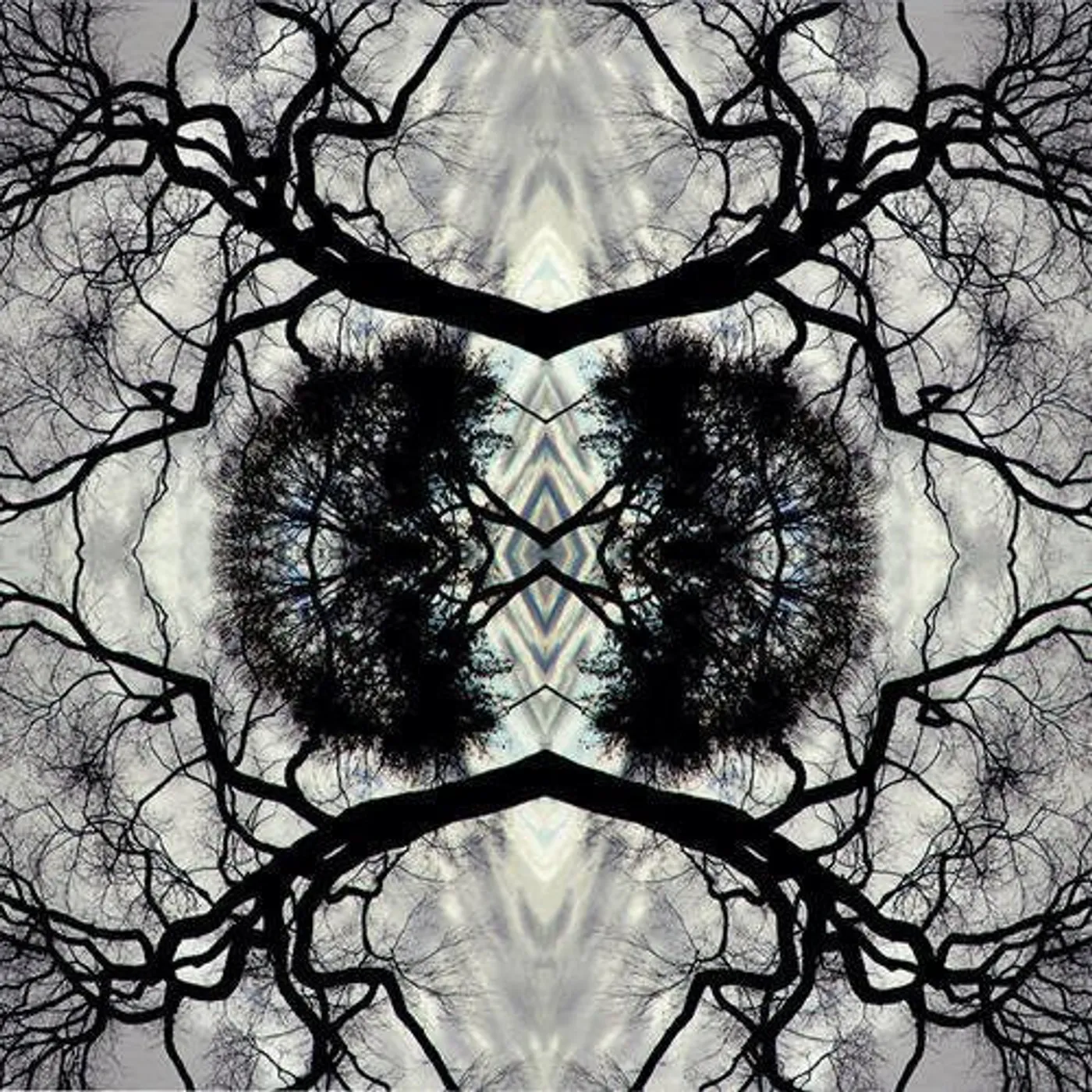 Adam Rudolph LP Vinyl - Sonic Mandala Go: Organic Orchestra (Ltd)