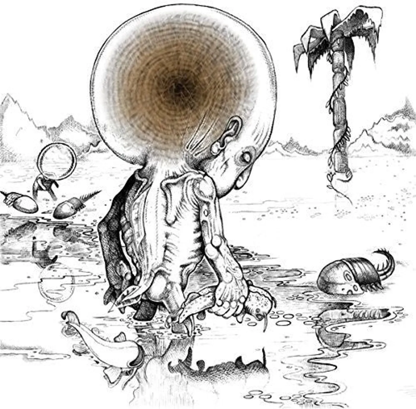 Shackleton & Vengeance Tenfold