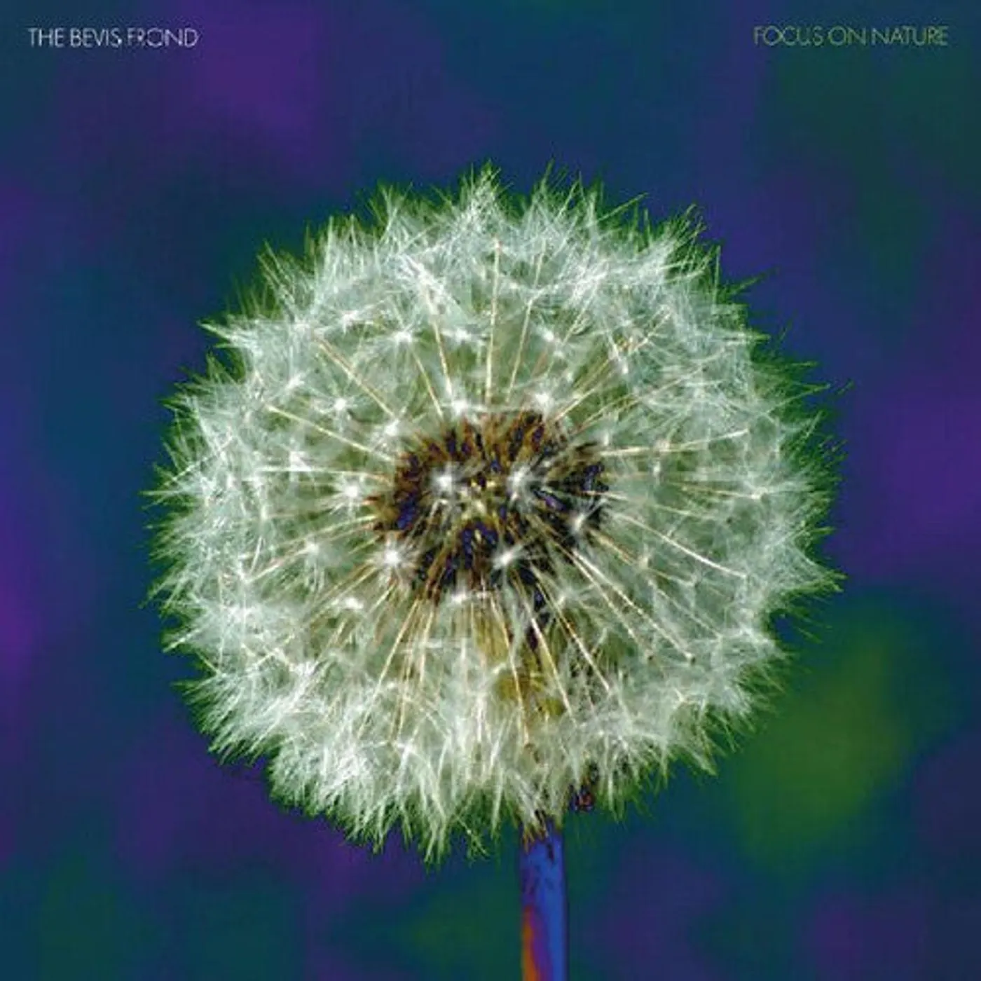 The Bevis Frond LP Vinyl - Focus On Nature (Dlcd)