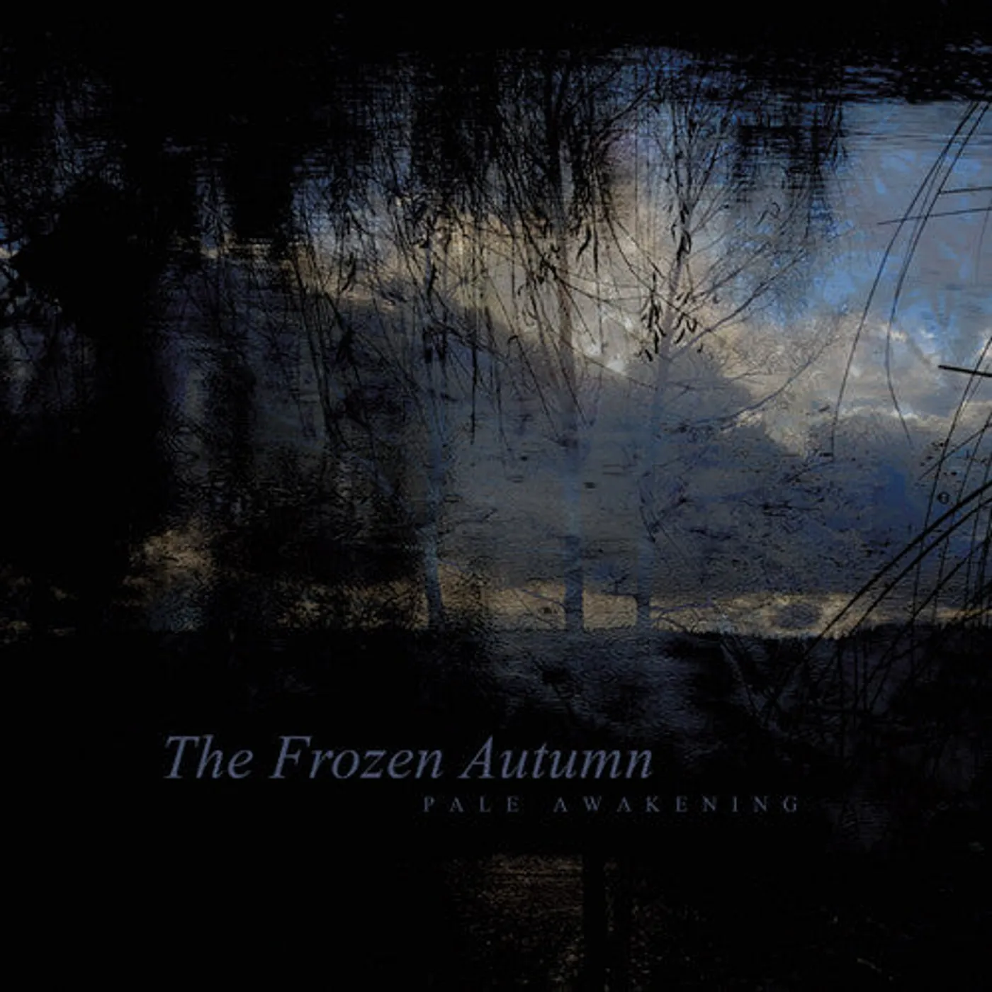 The frozen Autumn LP Vinyl - Pale Awakening
