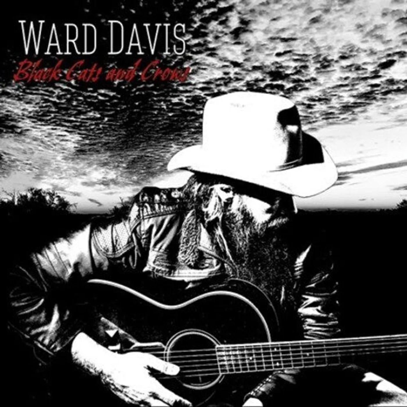 Ward Davis LP Vinyl - Black Cats And Crows