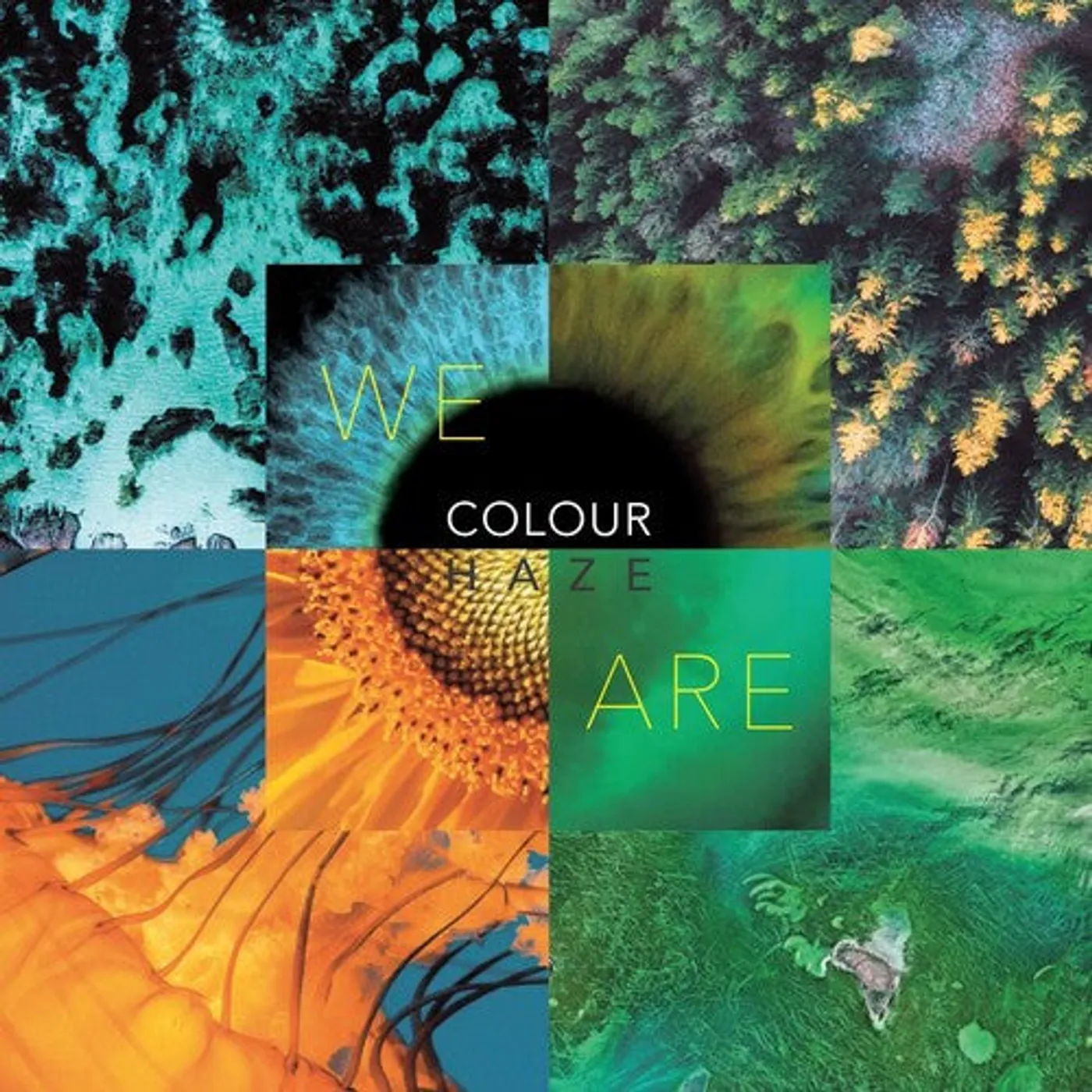 Colour Haze LP Vinyl - We Are