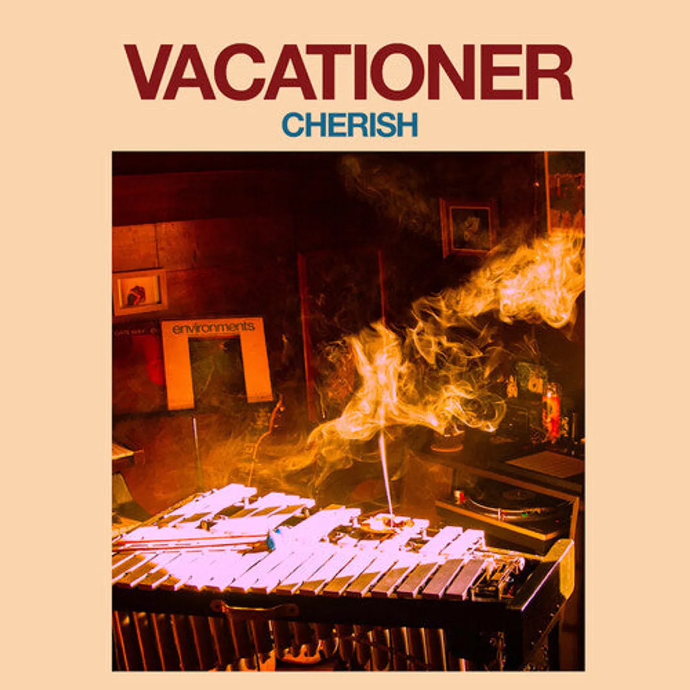 Vacationer LP Vinyl - Cherish