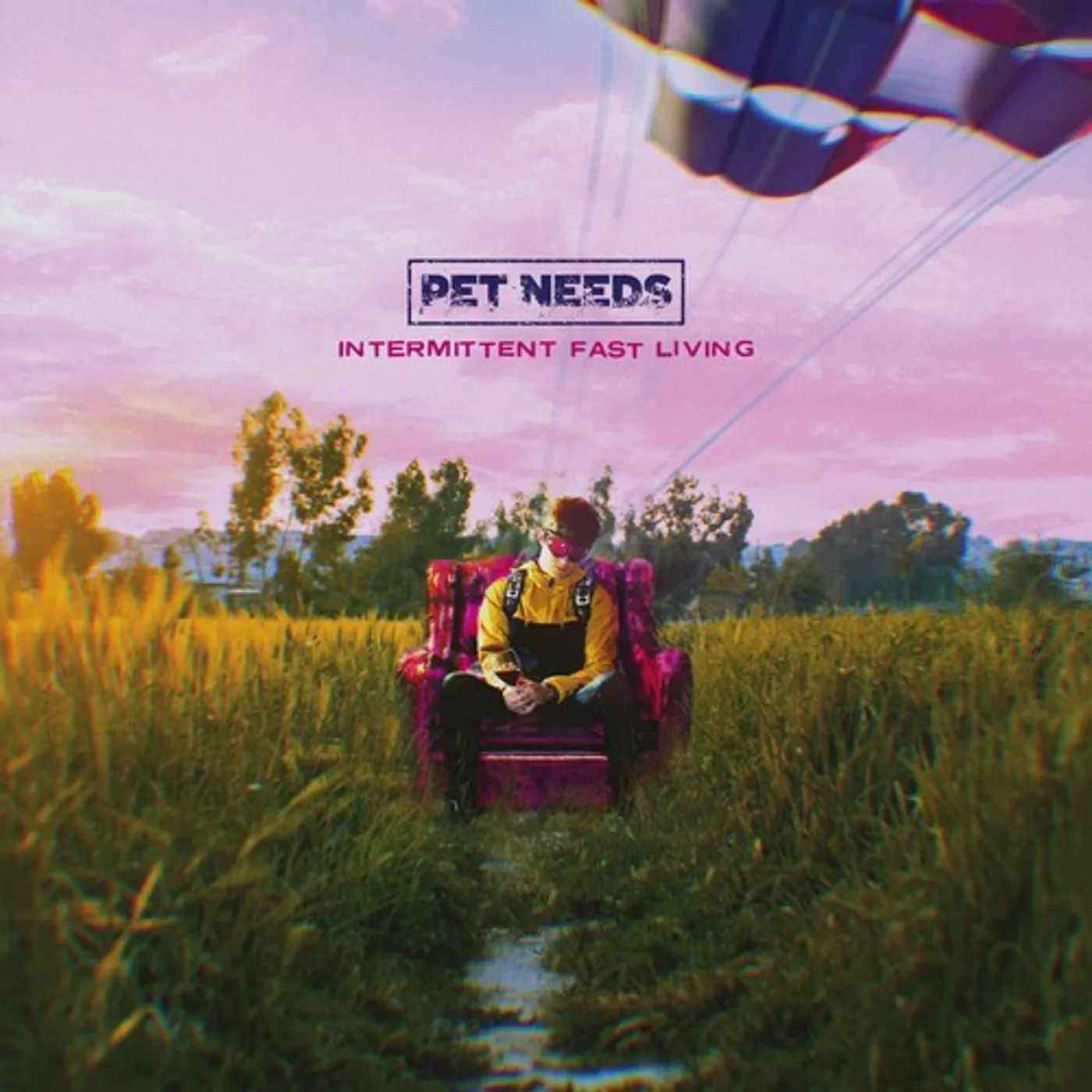 Pet Needs LP Vinyl - Intermittent Fast Living
