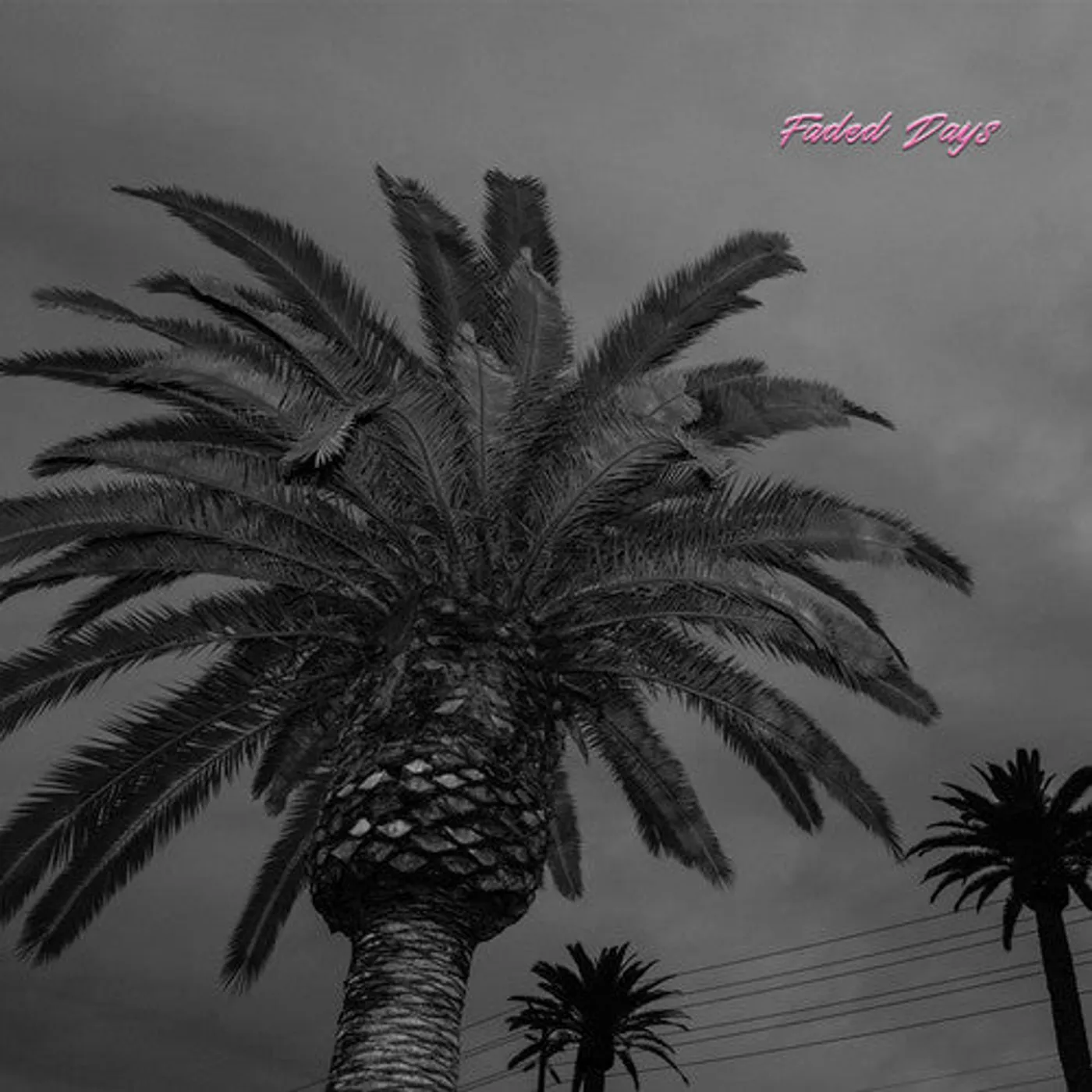 Actual Wolf LP Vinyl - Faded Days
