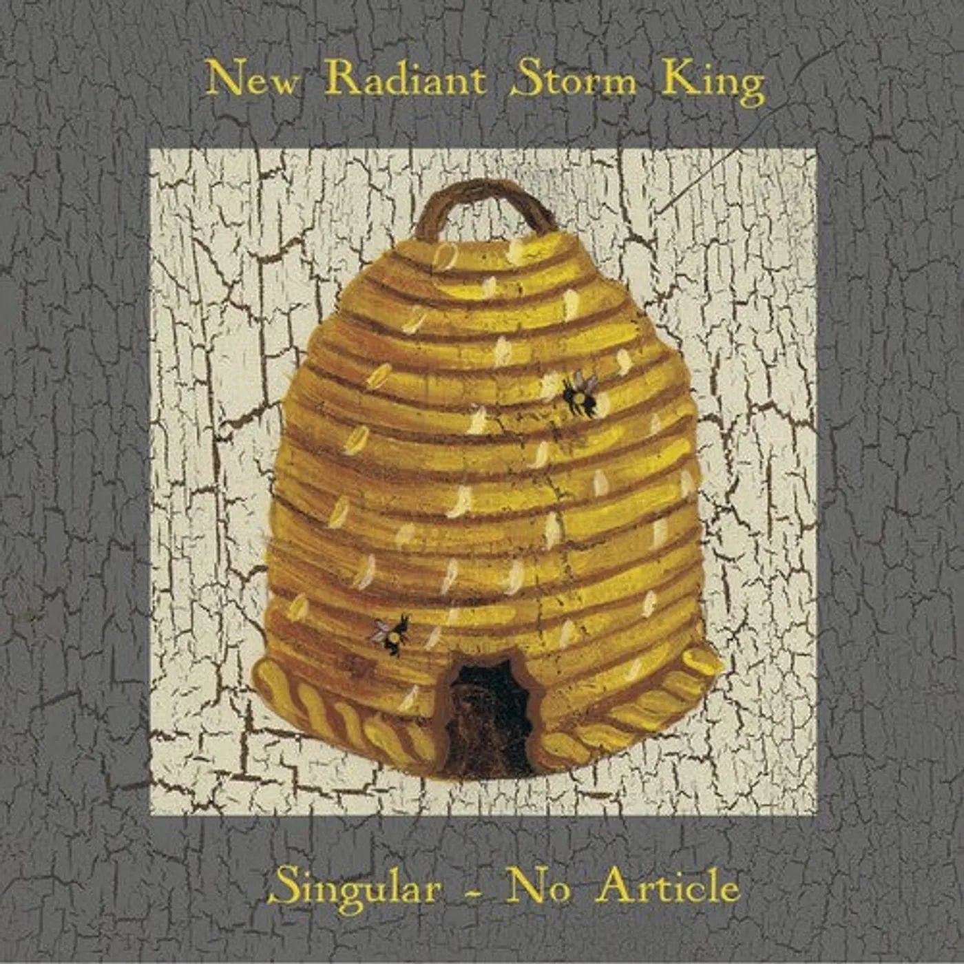 New Radiant Storm King LP Vinyl - Singular No Article (Ltd)