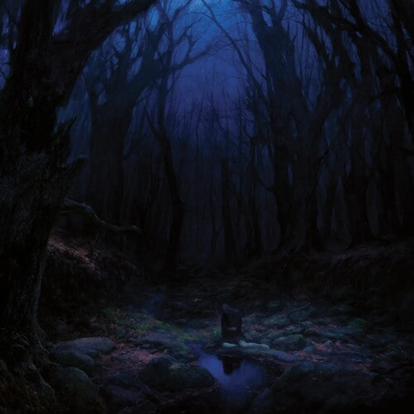 Woods Of Desolation LP Vinyl - Torn Beyond Reason (Gate Fold) (Ltd)