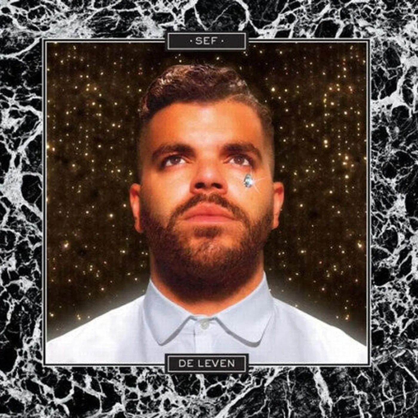 Sef LP Vinyl - De Leven (Hol)