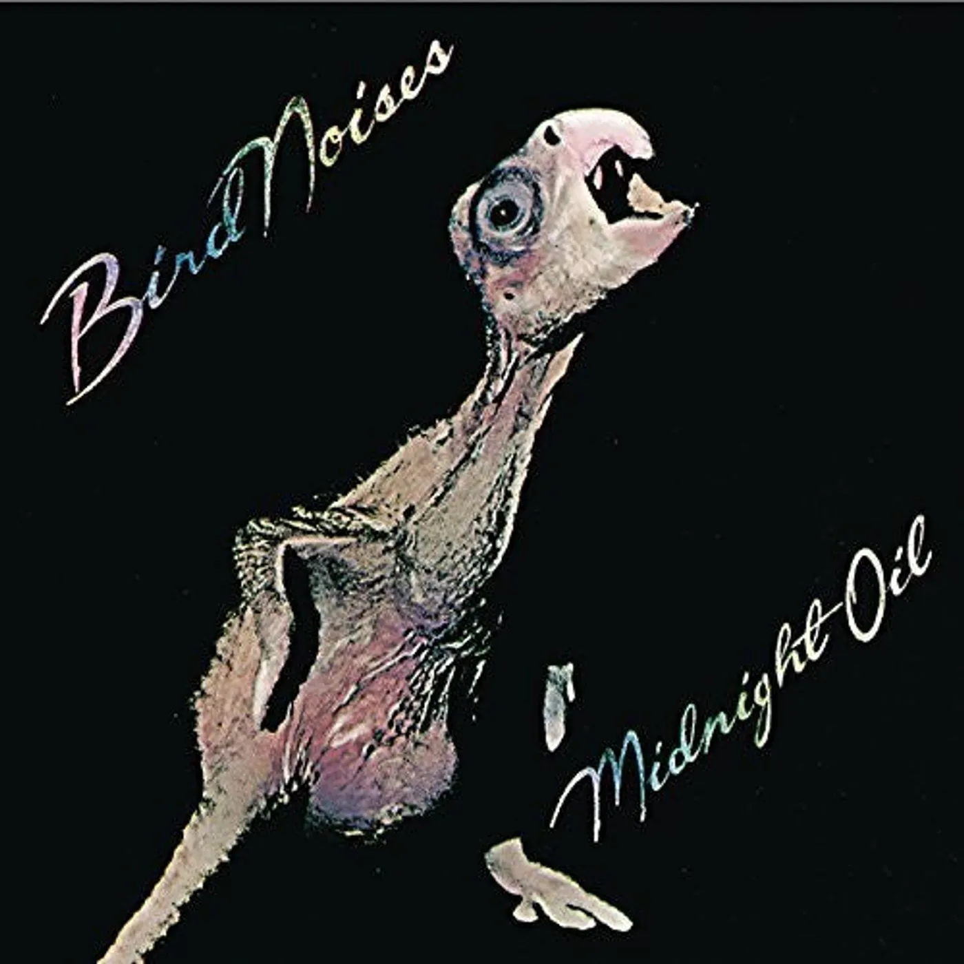 Midnight Oil LP Vinyl - Bird Noises (Ogv) (Rmst) (Aus)