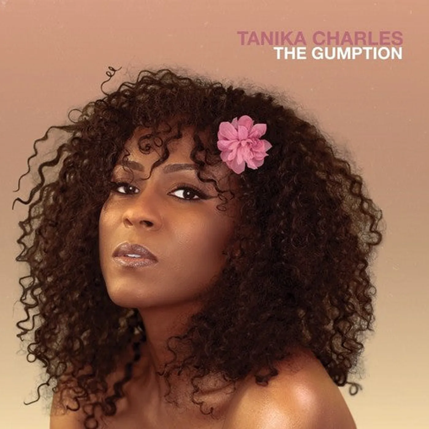 Tanika Charles LP Vinyl - Gumption