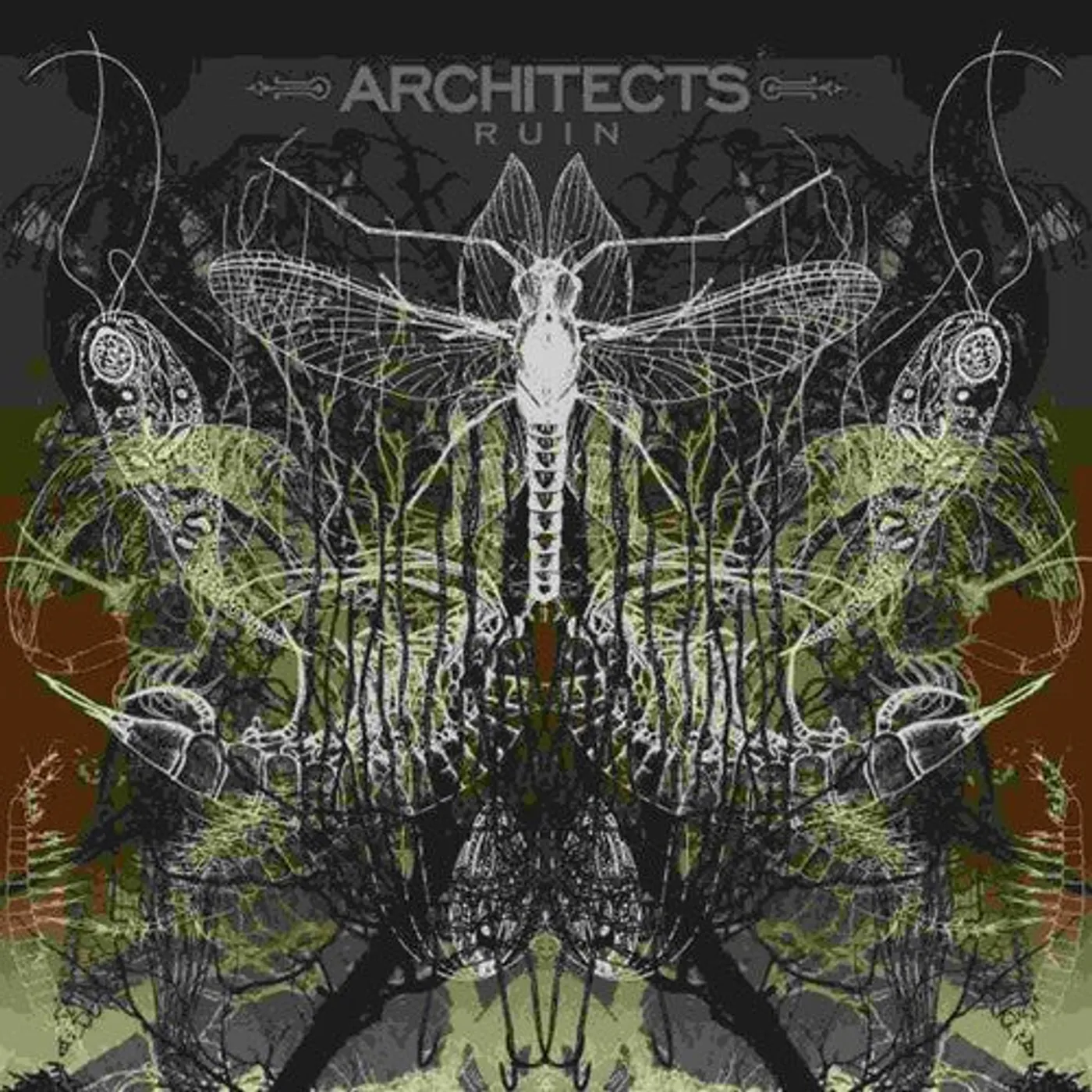 Architects LP Vinyl - Ruin (Can)