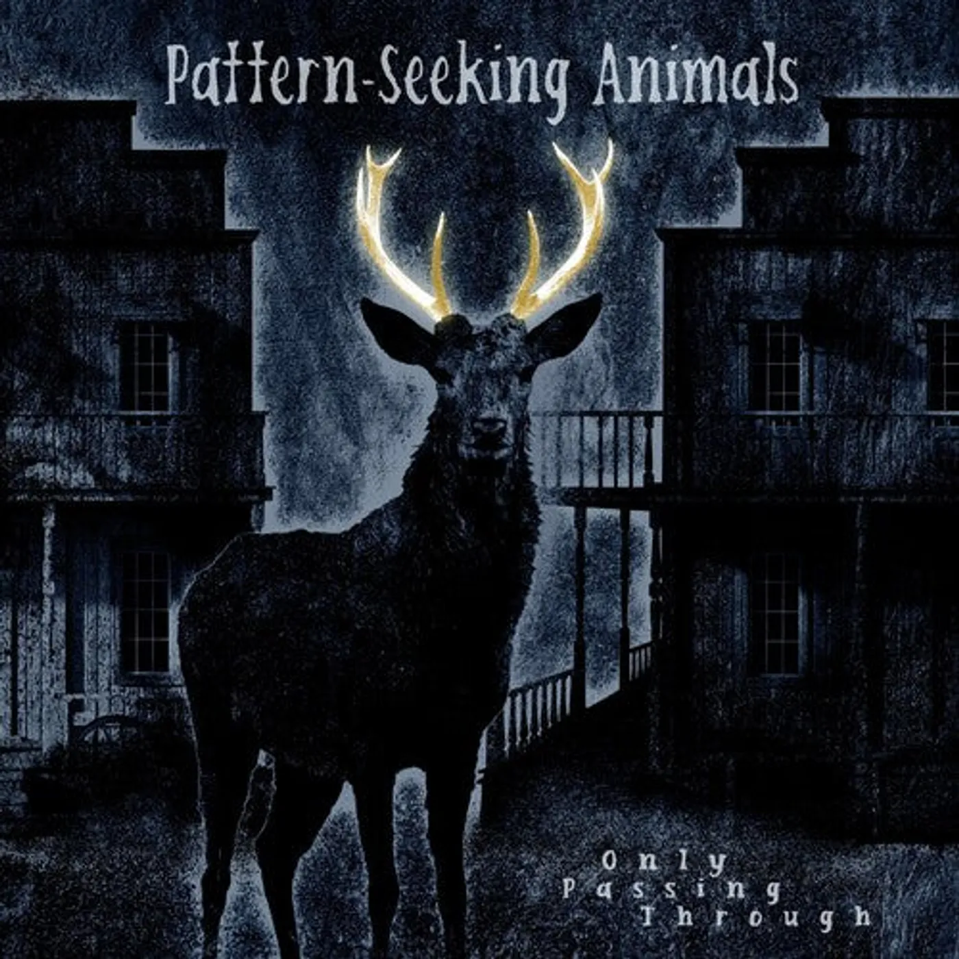 Pattern-Seeking Animals LP Vinyl - Only Passing Through (W/Cd) (Gate Fold)
