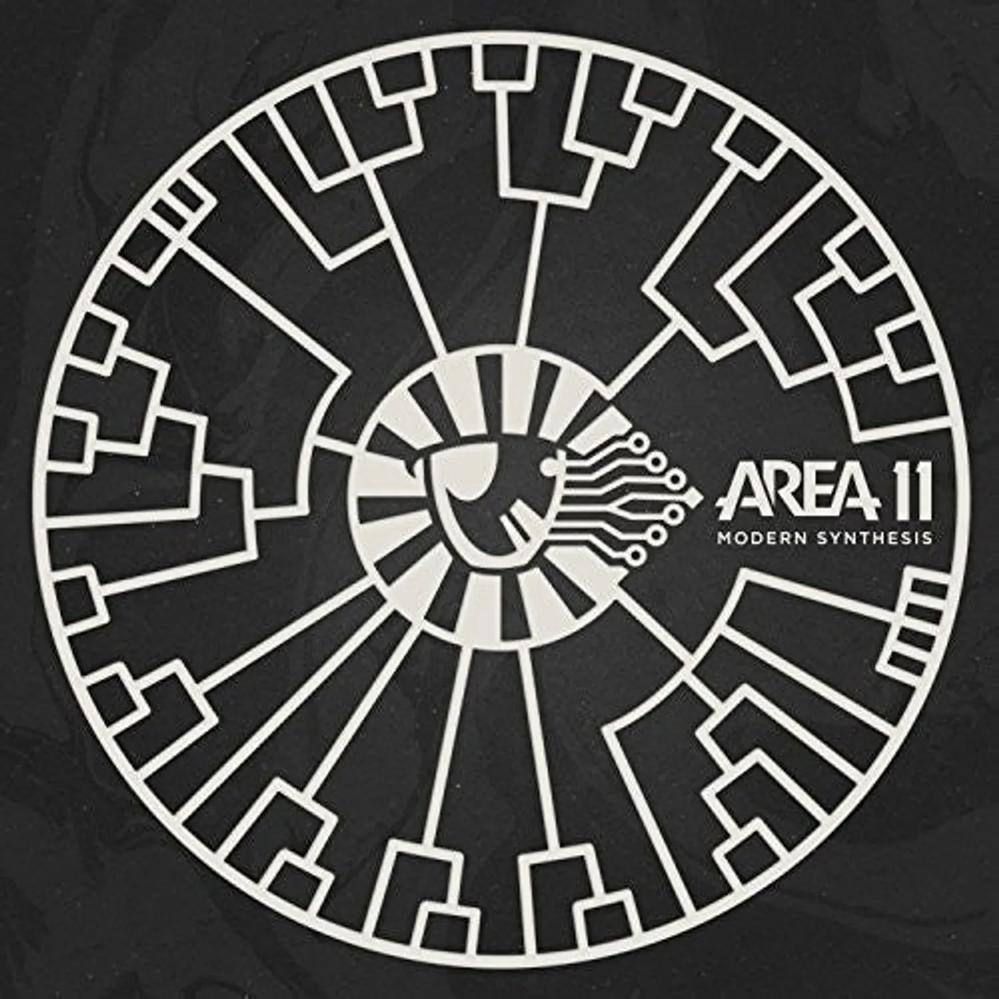 Area 11 LP Vinyl - Modern Synthesis (Uk)