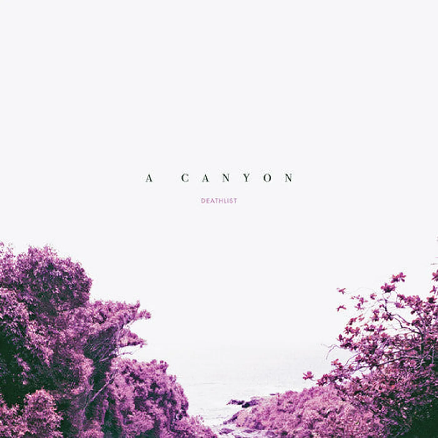 Deathlist LP Vinyl - A Canyon (Dlcd)