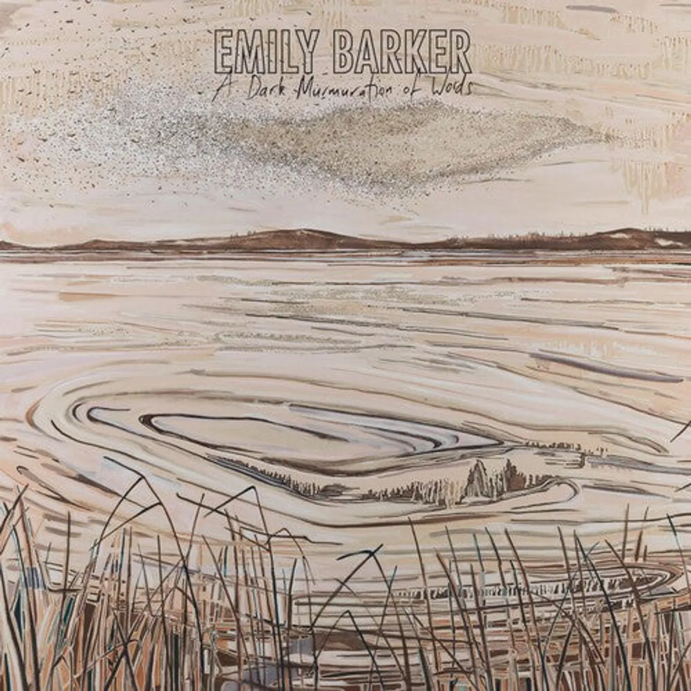 Emily Barker LP Vinyl - Dark Murmuration Of Words