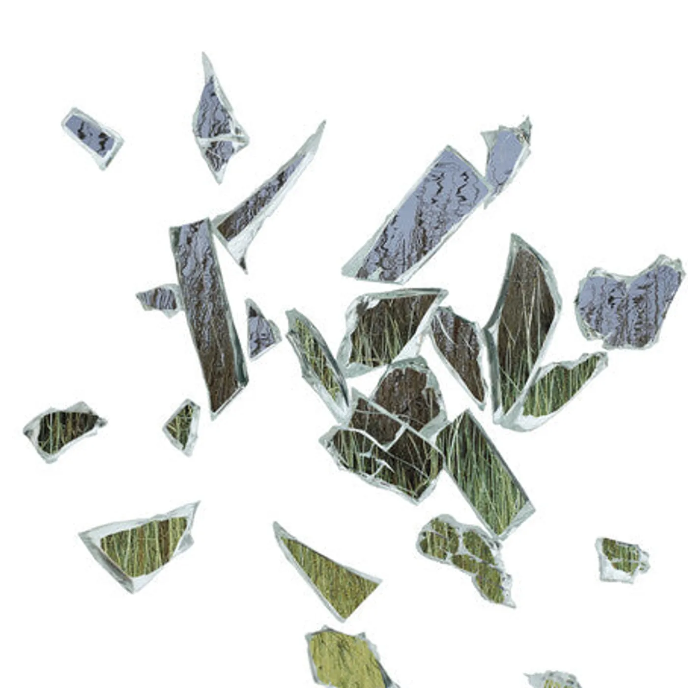 These New Puritans LP Vinyl - Field Of Reeds