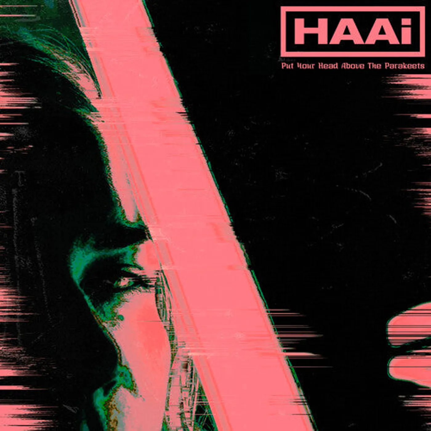 Haai LP Vinyl - Put Your Head Above The Parakeets (Coloured Vinyl) (Grn)