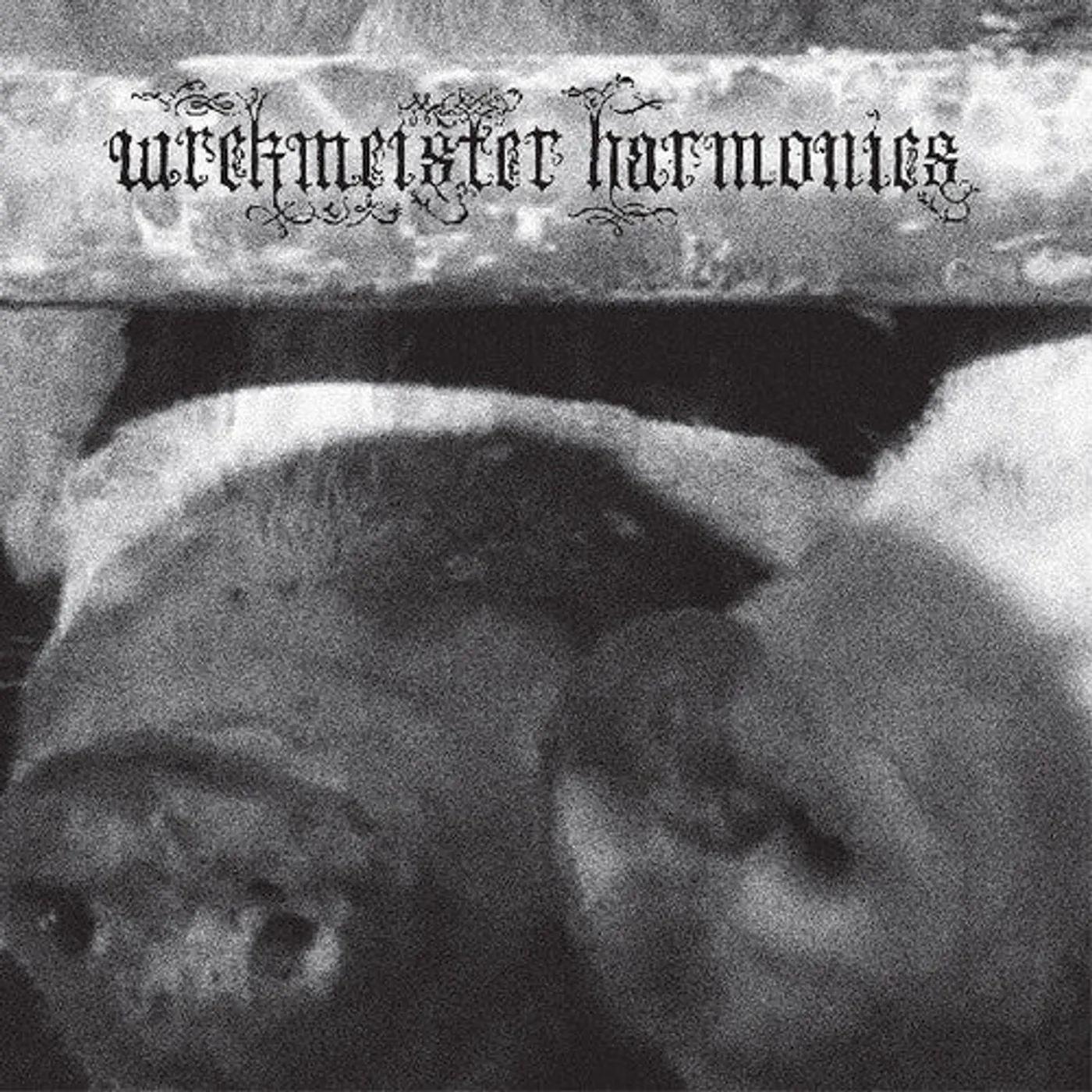 Wrekmeister Harmonies LP Vinyl - Flowers In The Spring (Coloured Vinyl) (Pnk)