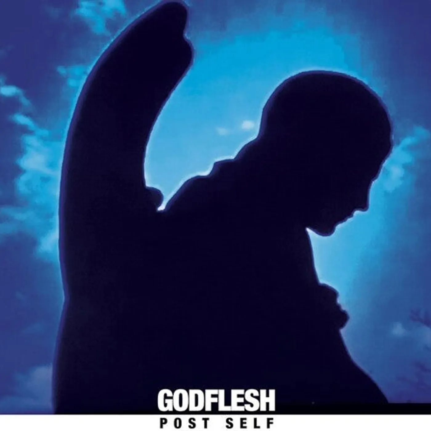Godflesh LP Vinyl - Post Self (Blue) (Cvnl) (Uk)