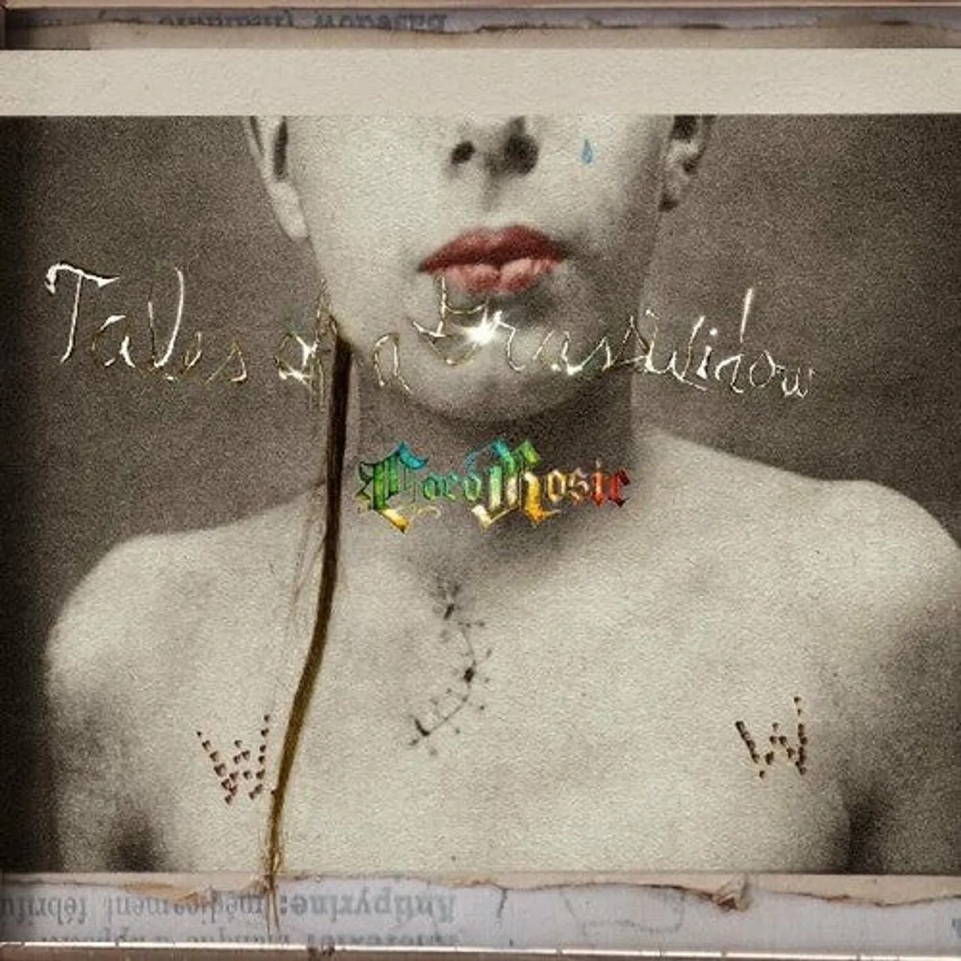 Cocorosie LP Vinyl - Tales Of A Grasswidow