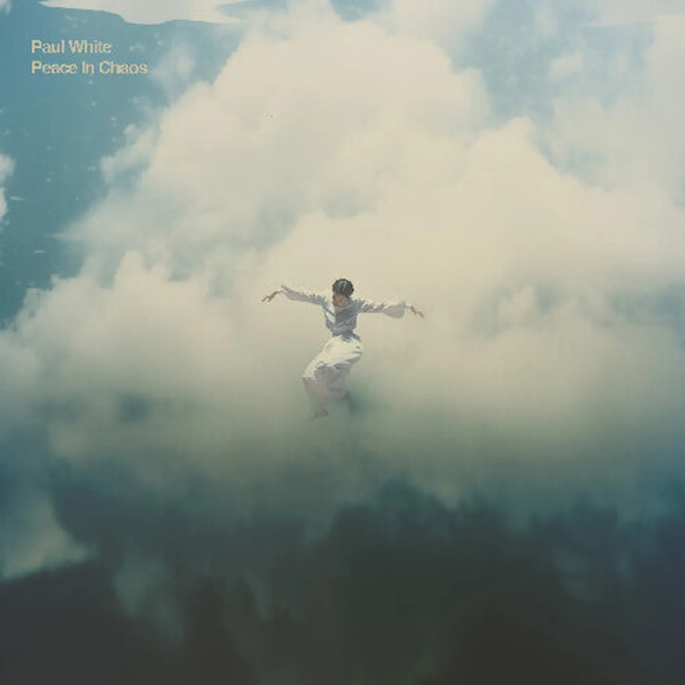 Paul White LP Vinyl - Peace In Chaos