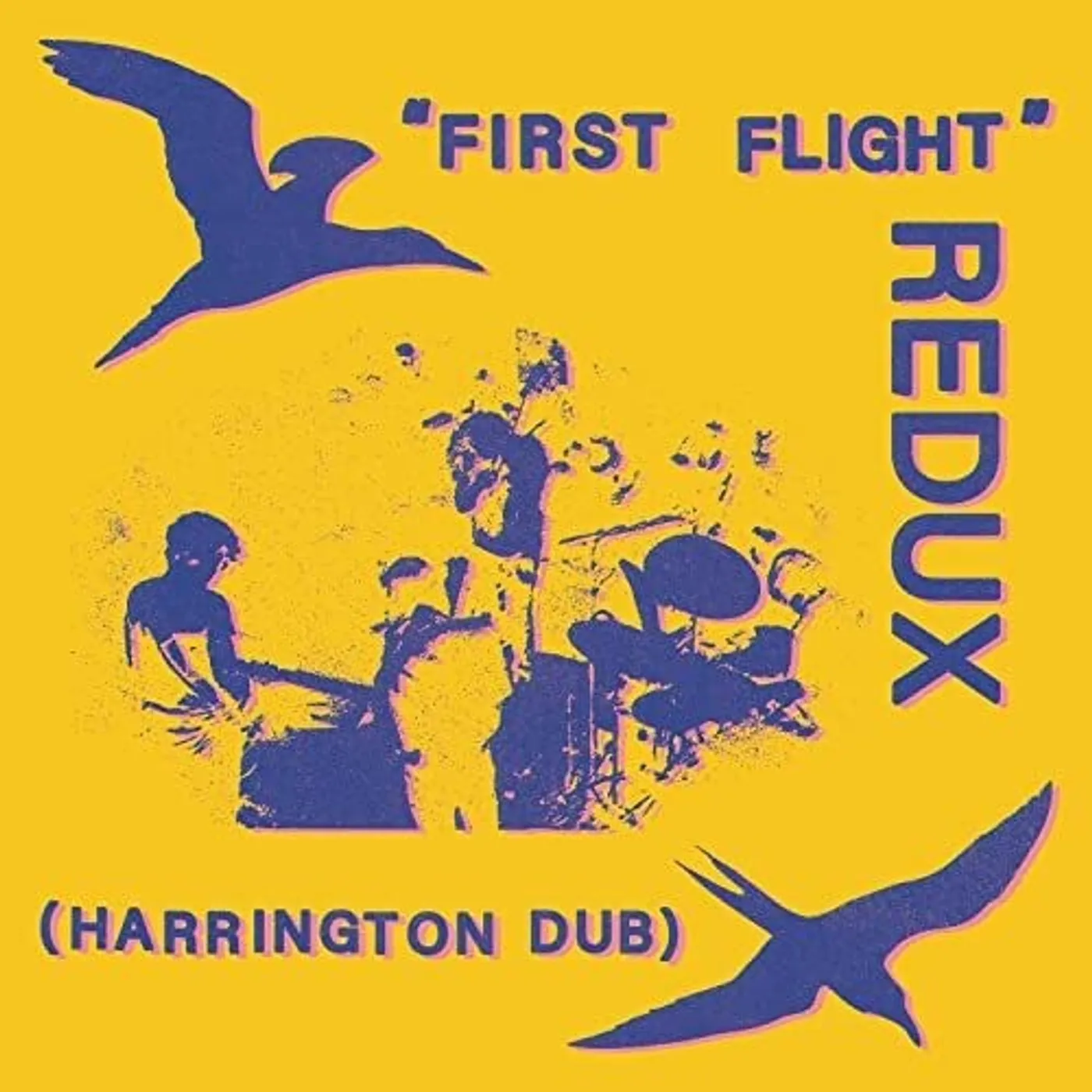 Chris Forsyth LP Vinyl - First Flight Redux (Harrington Dub)