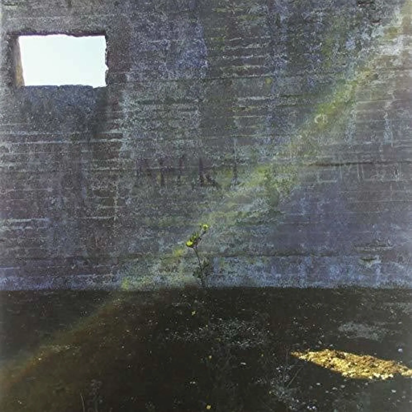 Desperate Journalist LP Vinyl - In Search Of The Miraculous (Uk)