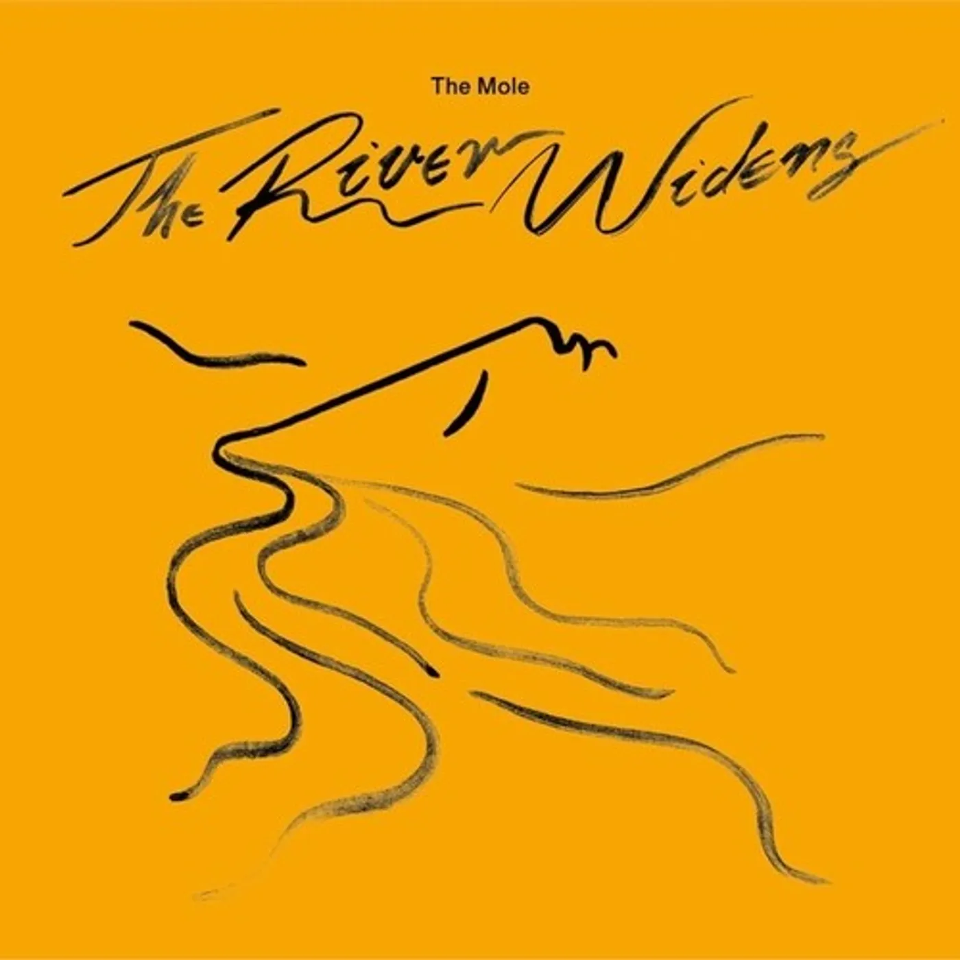 Mole LP Vinyl - River Widens