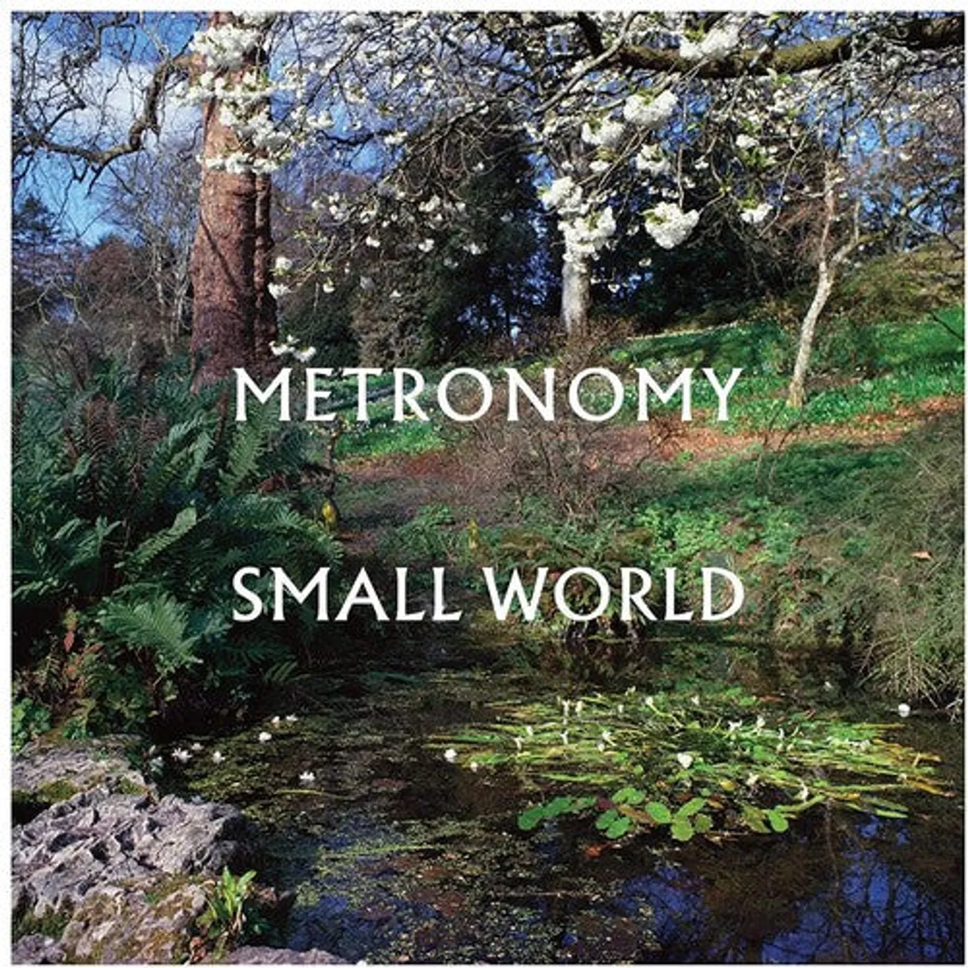 Metronomy LP Vinyl - Small World