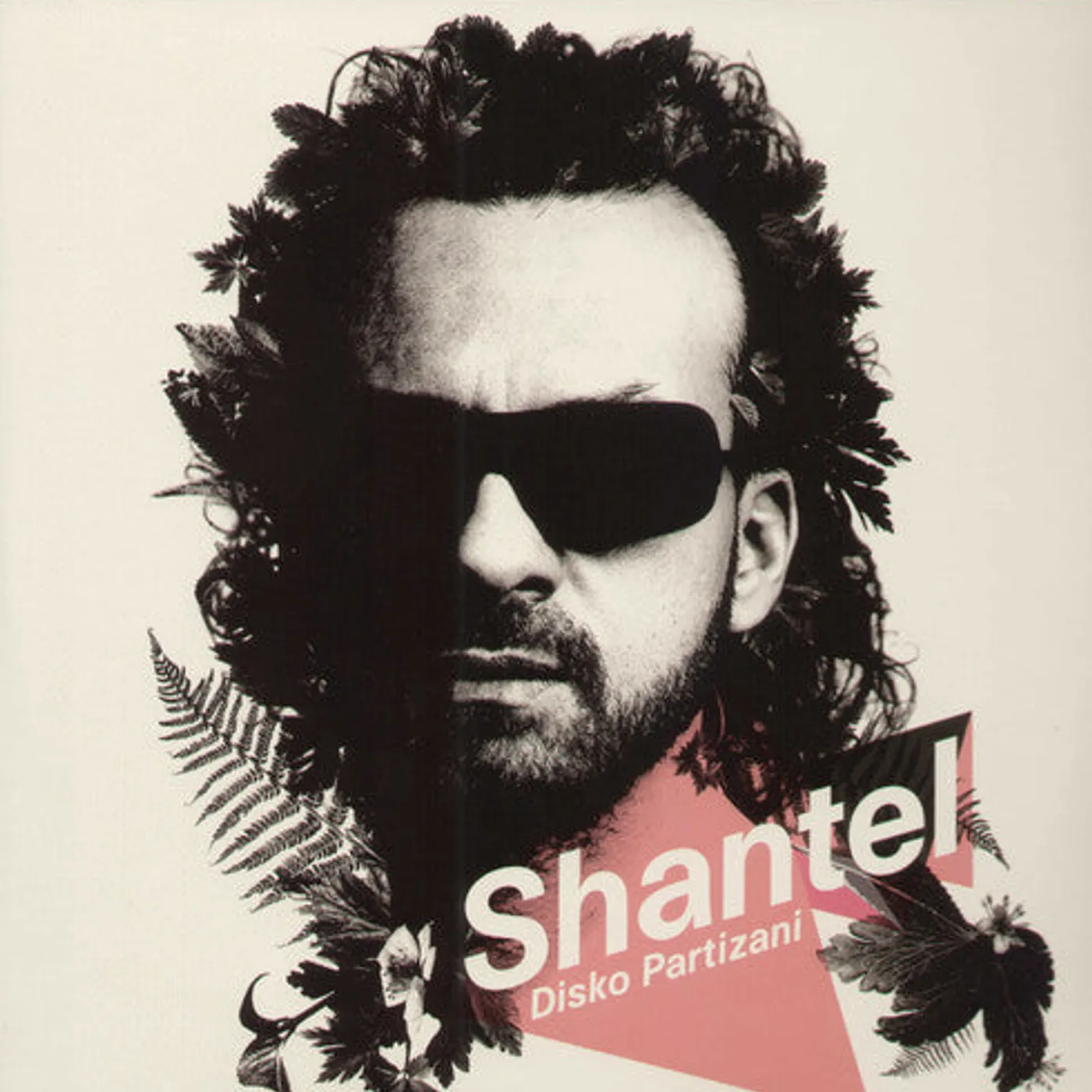 Shantel LP Vinyl - Disko Partizani
