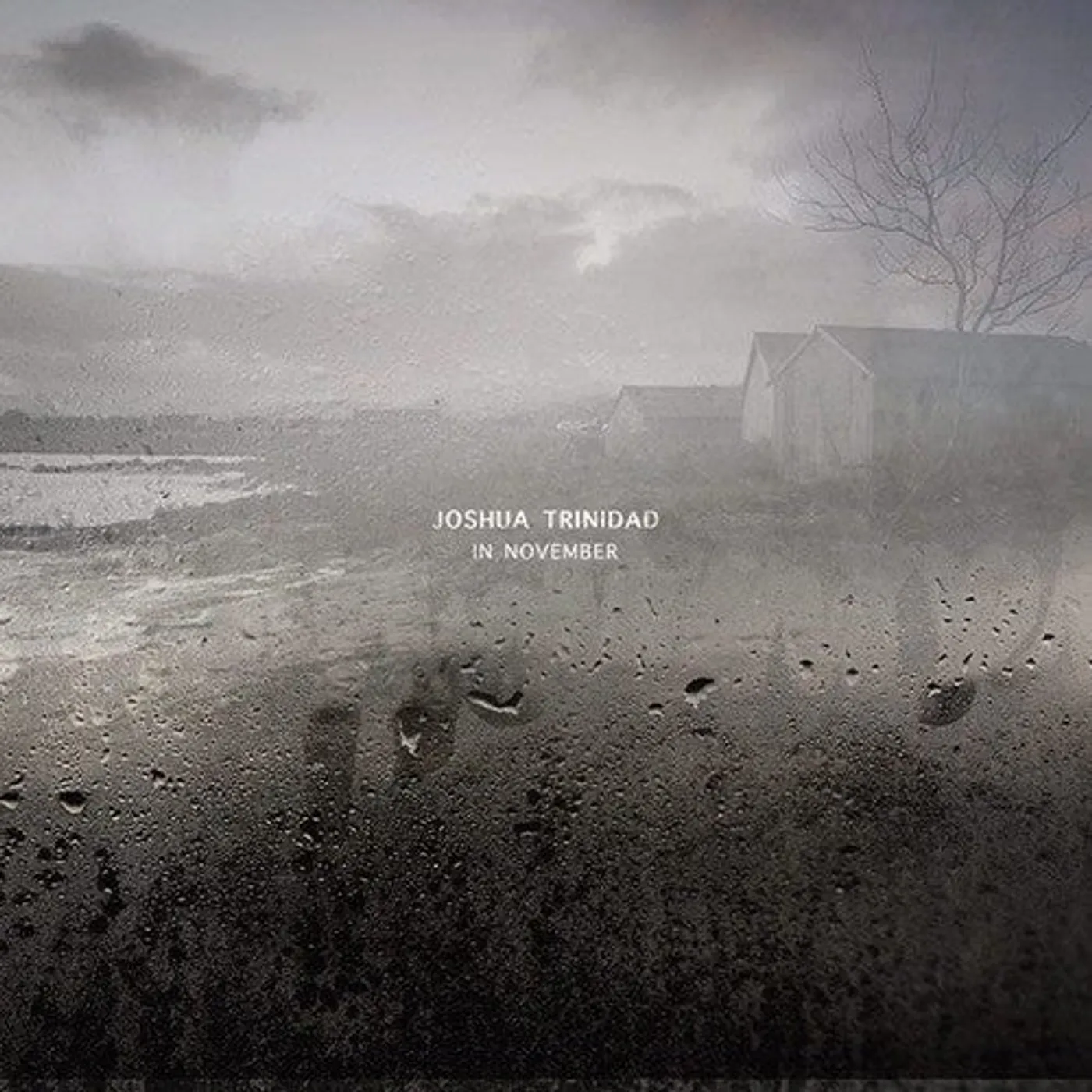 Joshua Trinidad LP Vinyl - In November (Ogv)