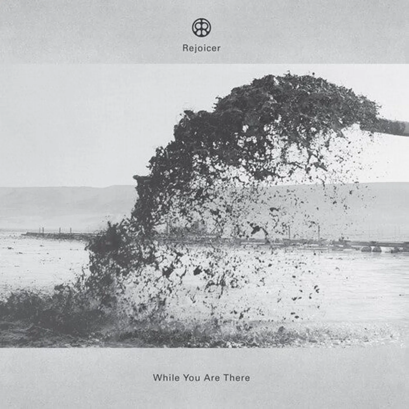 Rejoicer LP Vinyl - While You Are There