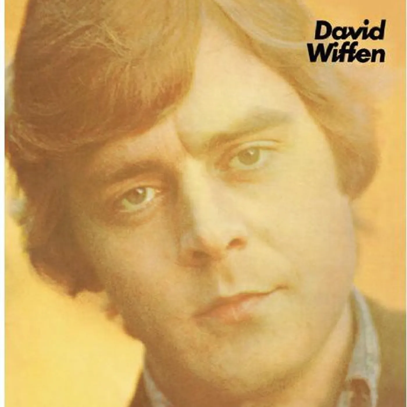David Wiffen LP Vinyl - David Wiffen (Ogv)