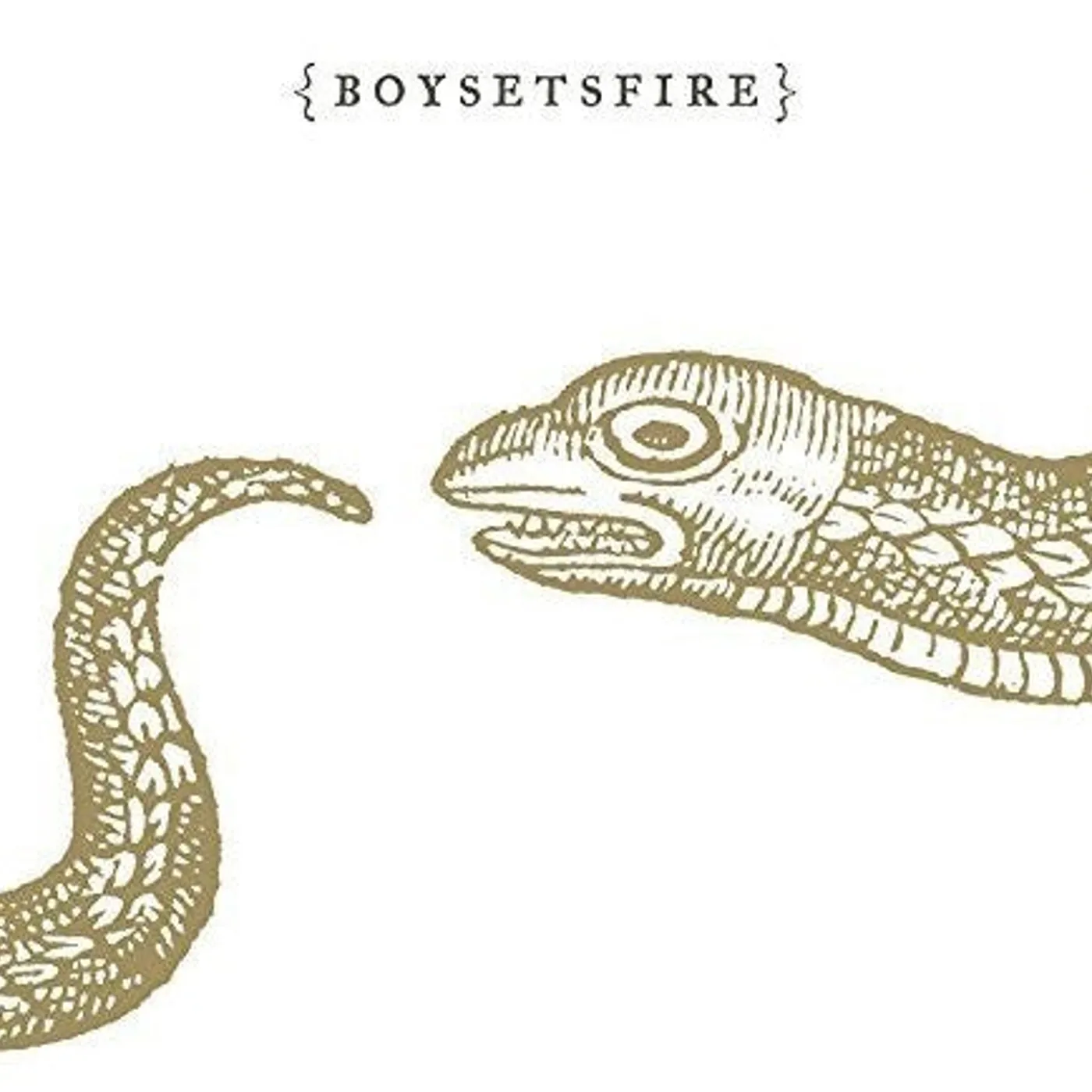 Boysetsfire LP Vinyl - Boy Sets Fire