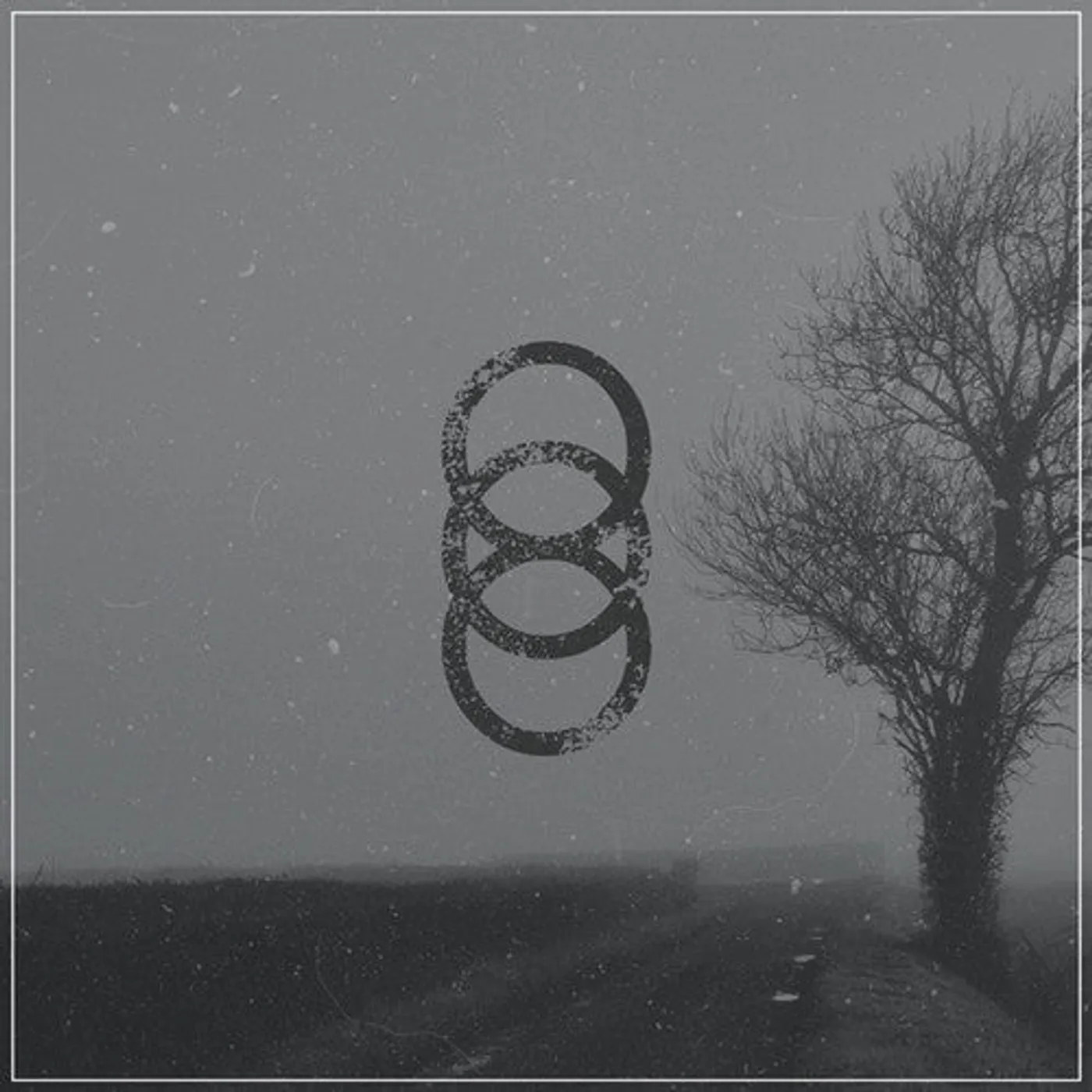 Hundred Year Old Man LP Vinyl - Rei (Ep)