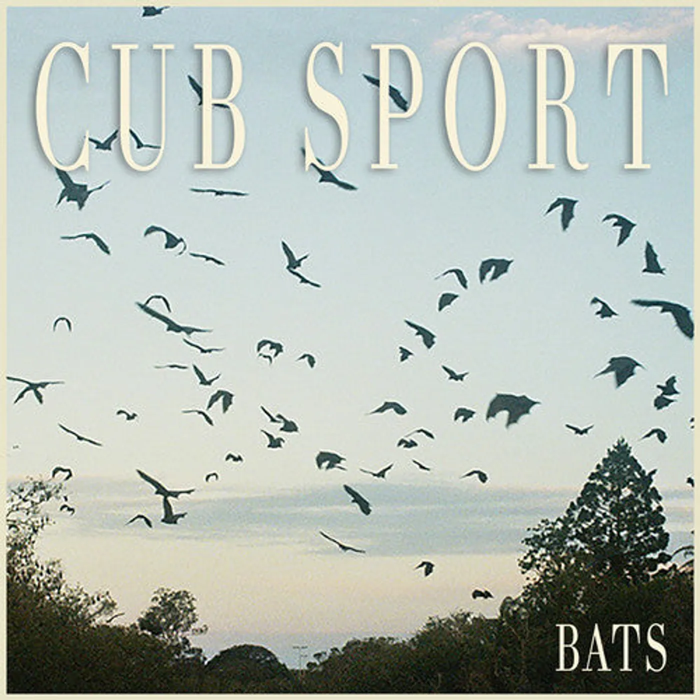 Cub Sport LP Vinyl - Bats