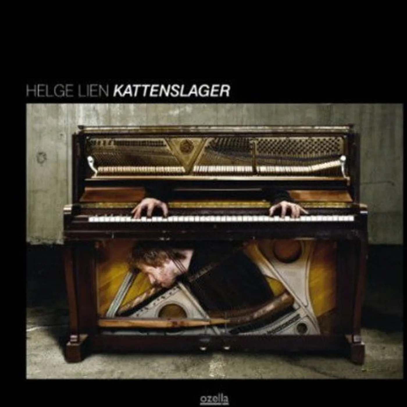 Helge Lien LP Vinyl - Kattenslager