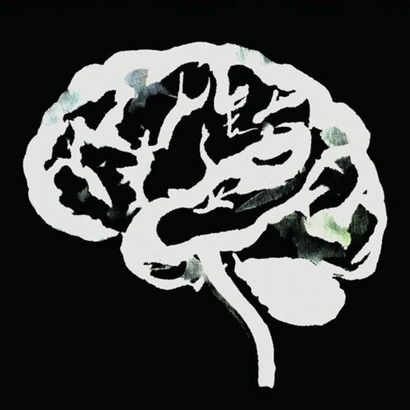 Ruins LP Vinyl - Brain Flakes (Lost Combo Tapes)