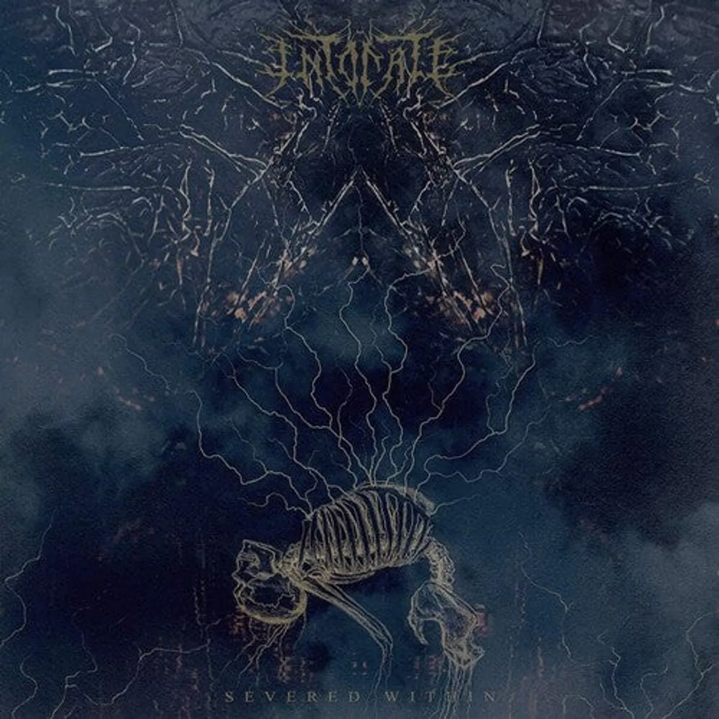 Intonate LP Vinyl - Severed Within (Coloured Vinyl)