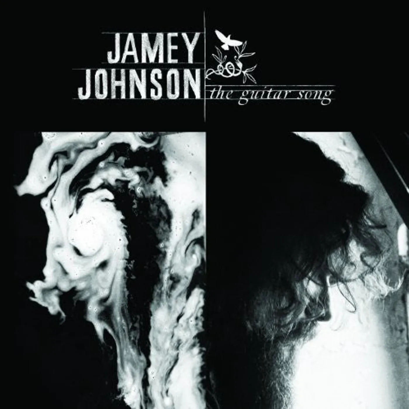 Jamey Johnson LP Vinyl - Guitar Song (Box)