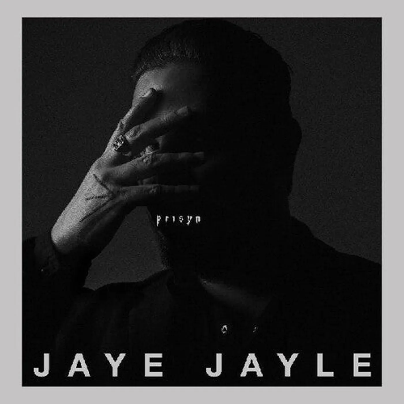 Jaye Jayle LP Vinyl - Prisyn (Dlcd)