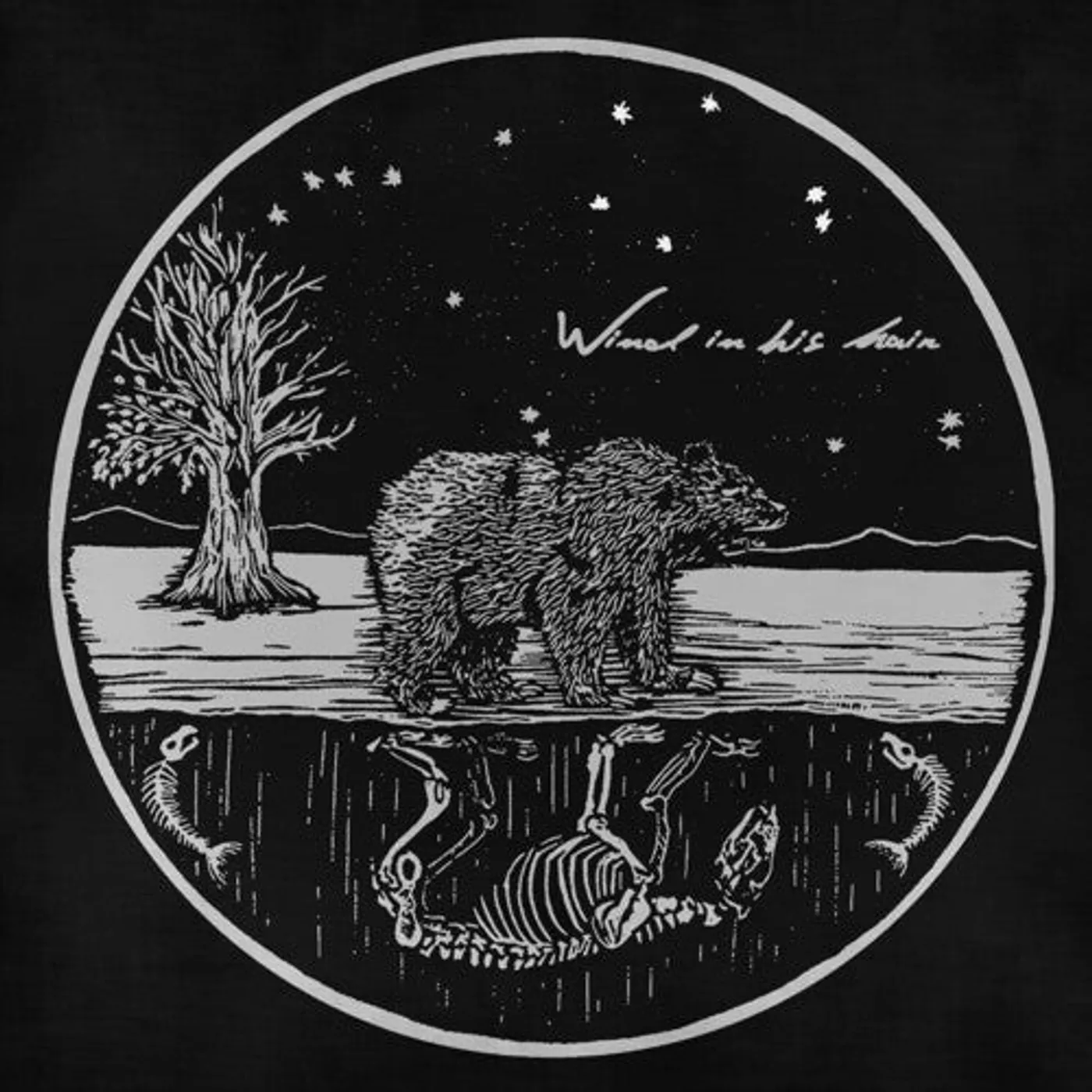 Wind In His Hair LP Vinyl - Future Primitives