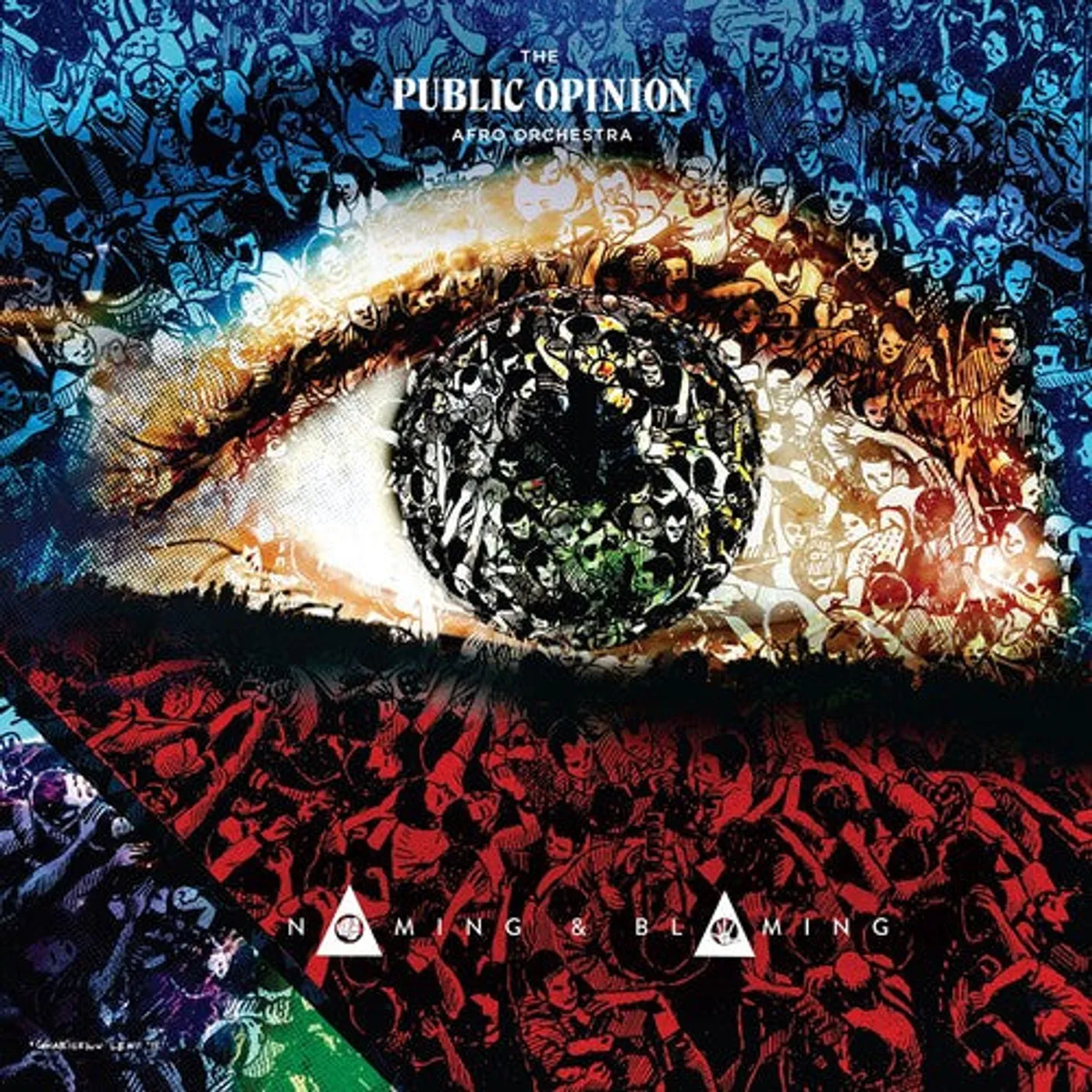 The Public Opinion Afro Orchestra LP Vinyl - Naming & Blaming